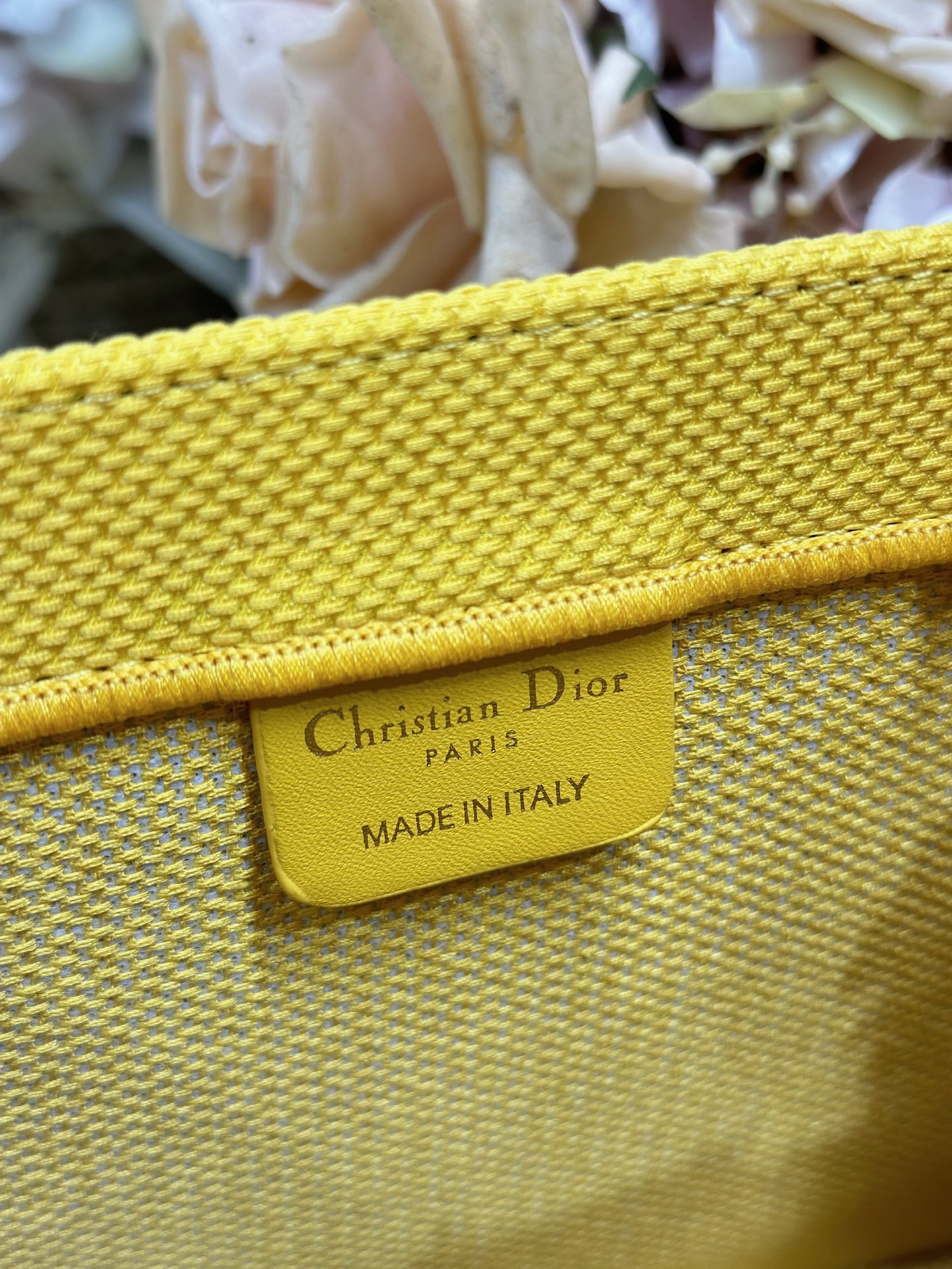 Dior Dio.r Mini Book tote
