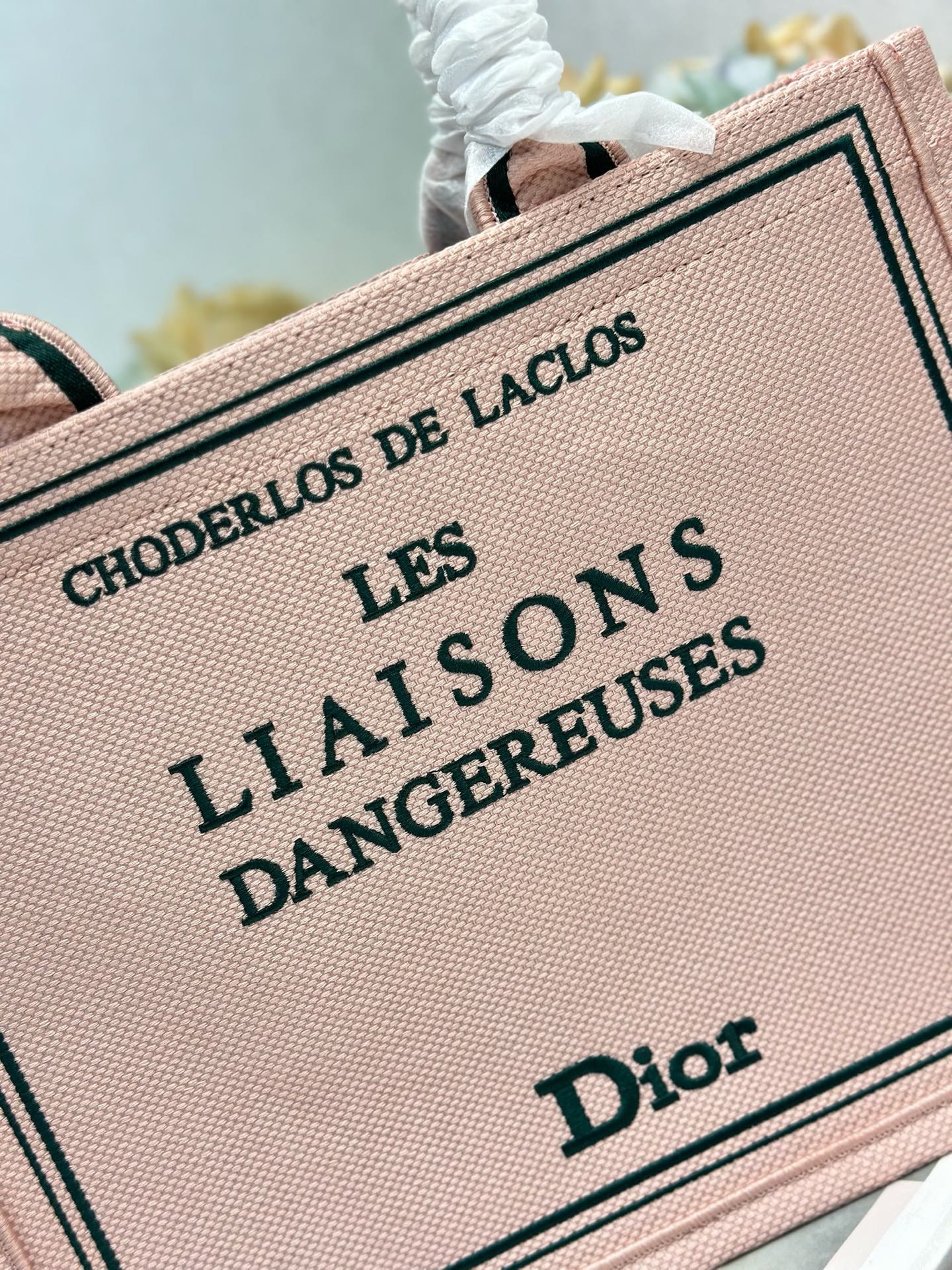 Dior Dior book tote 购物袋