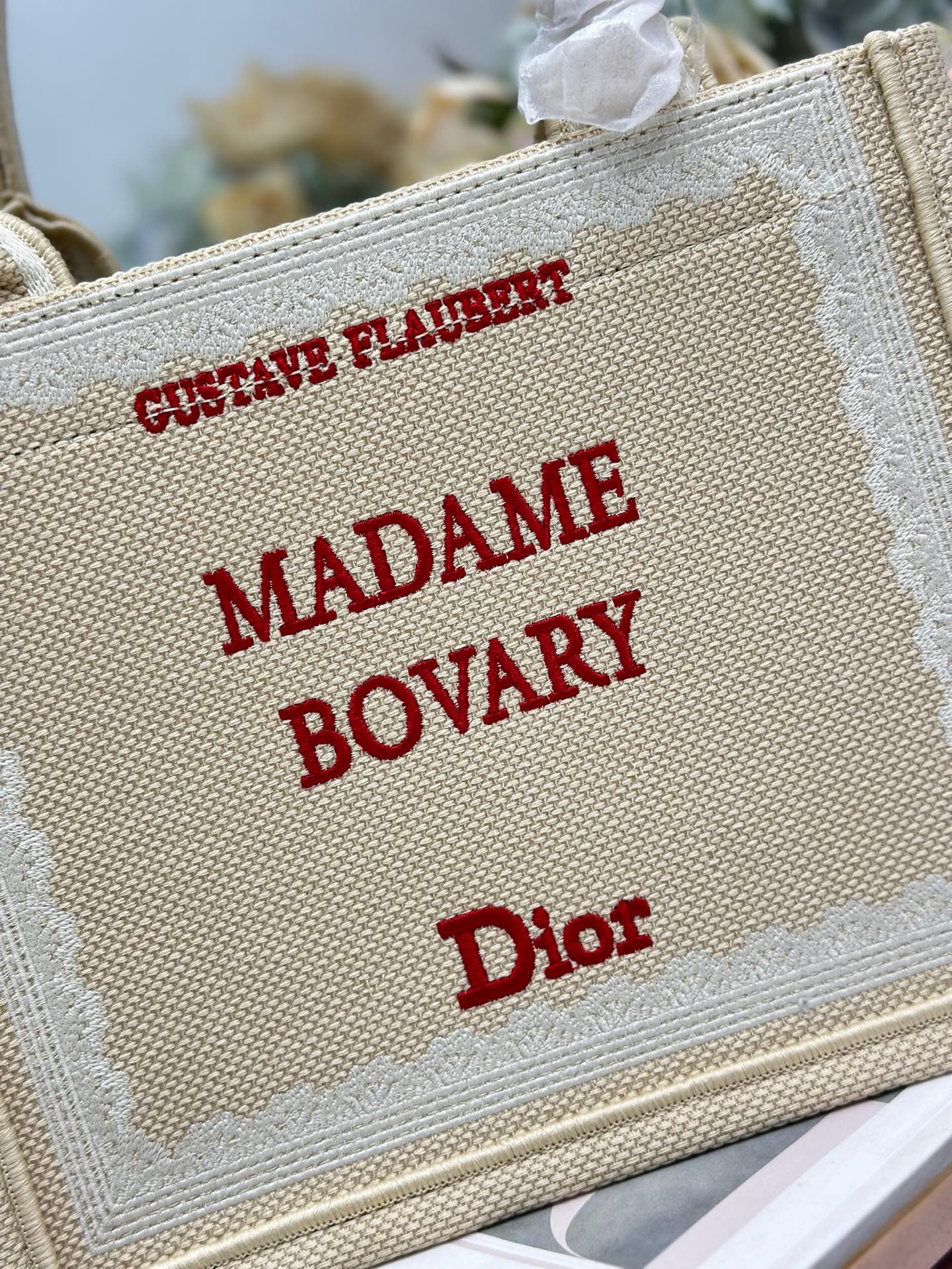 Dior Dio.r Mini Book tote
