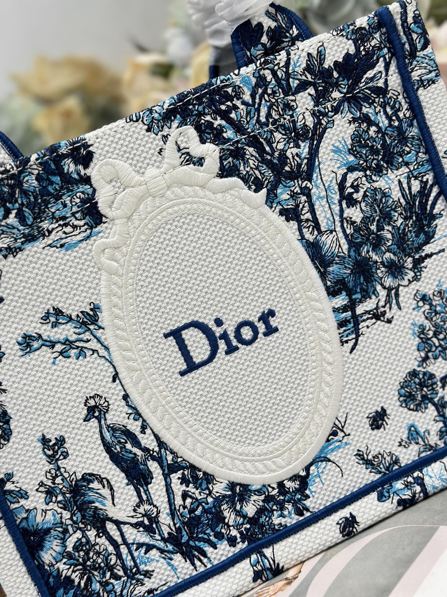 Dior Dio.r Mini Book tote
