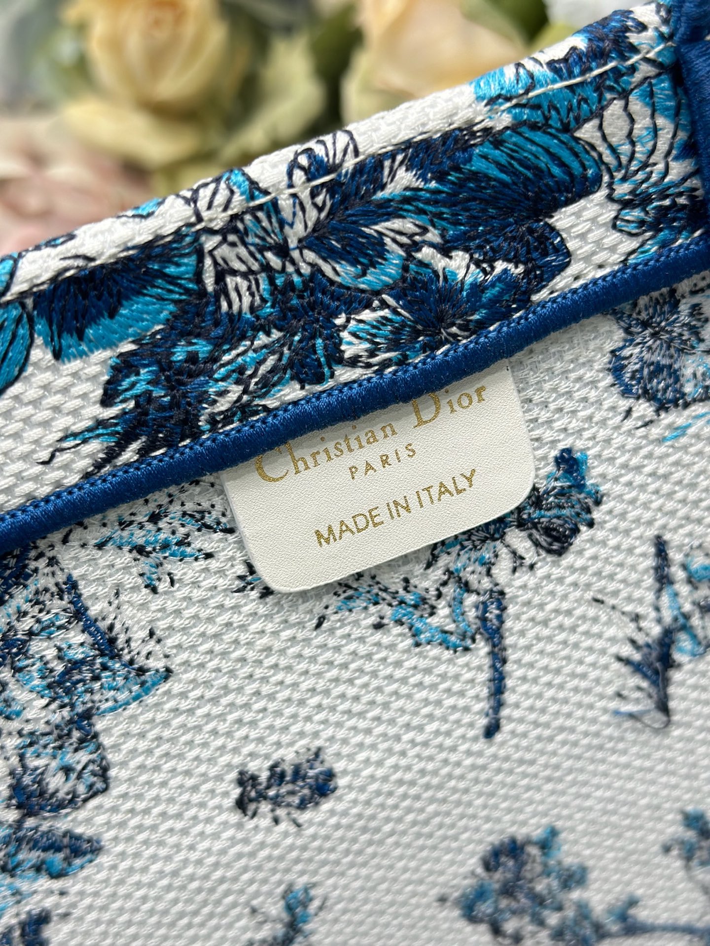 Dior Dior book tote 购物袋