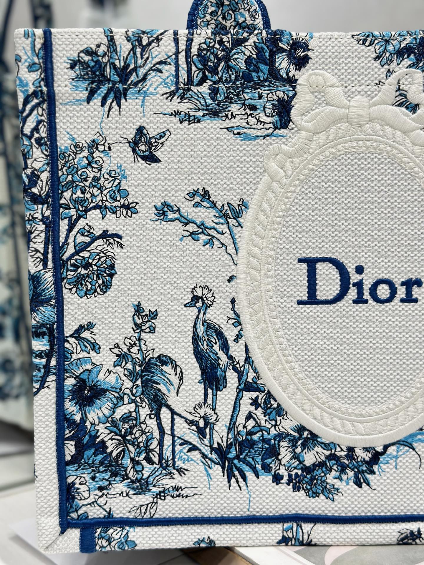 Dior Dior book tote 购物袋