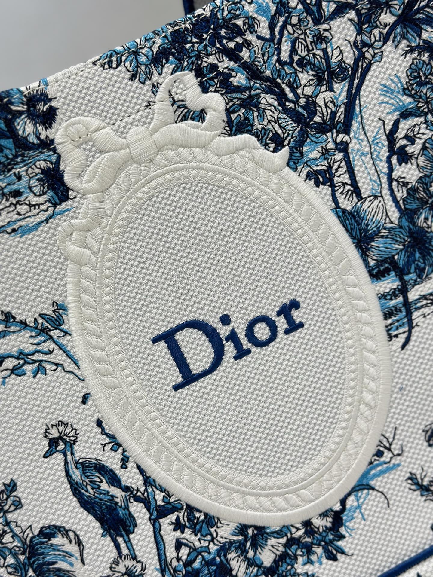 Dior Dior book tote 购物袋