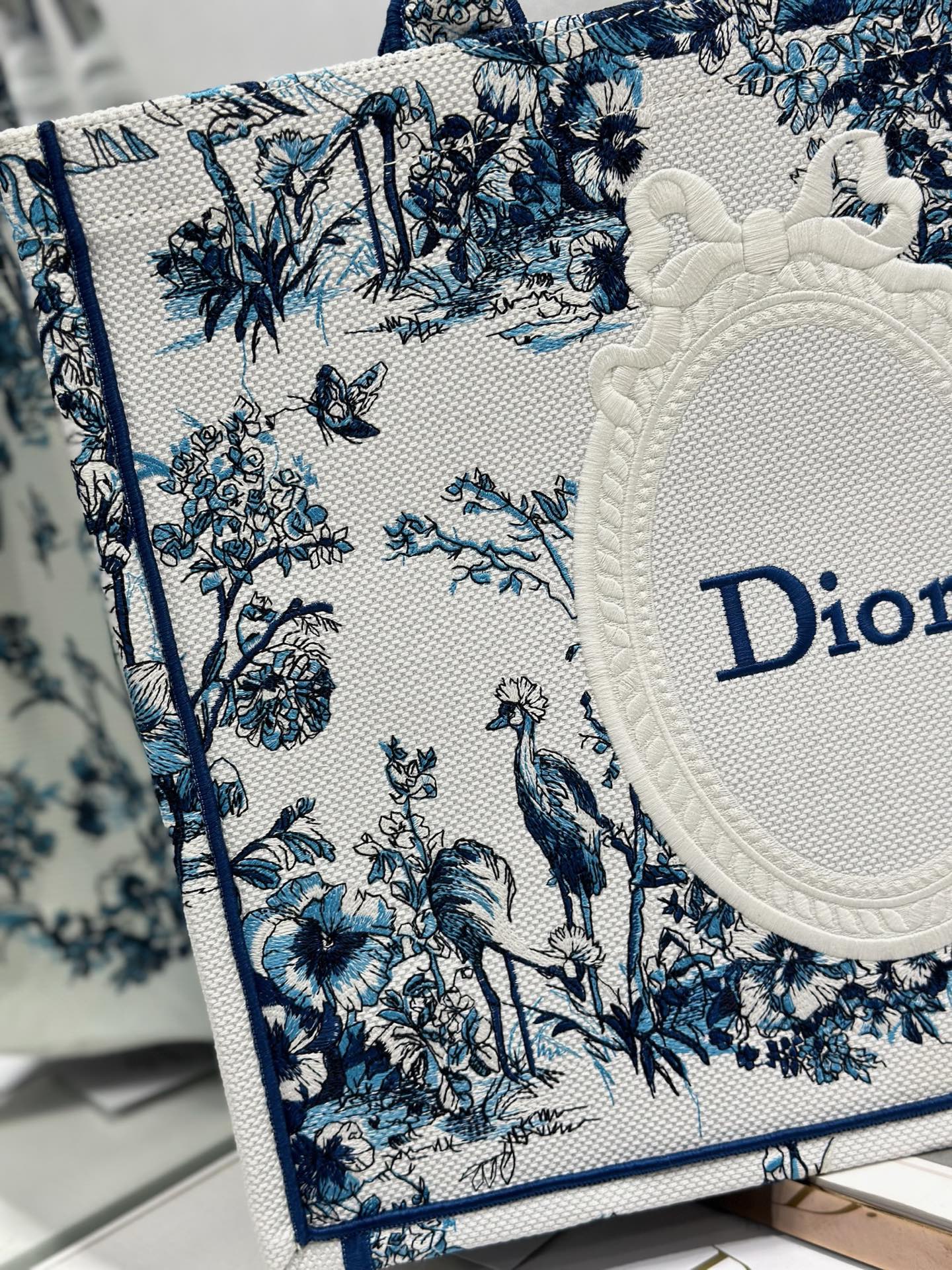 Dior Dior book tote 购物袋