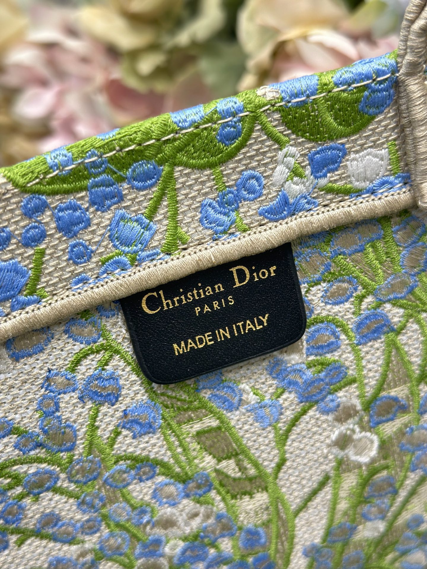 Dior Dior book tote 购物袋
