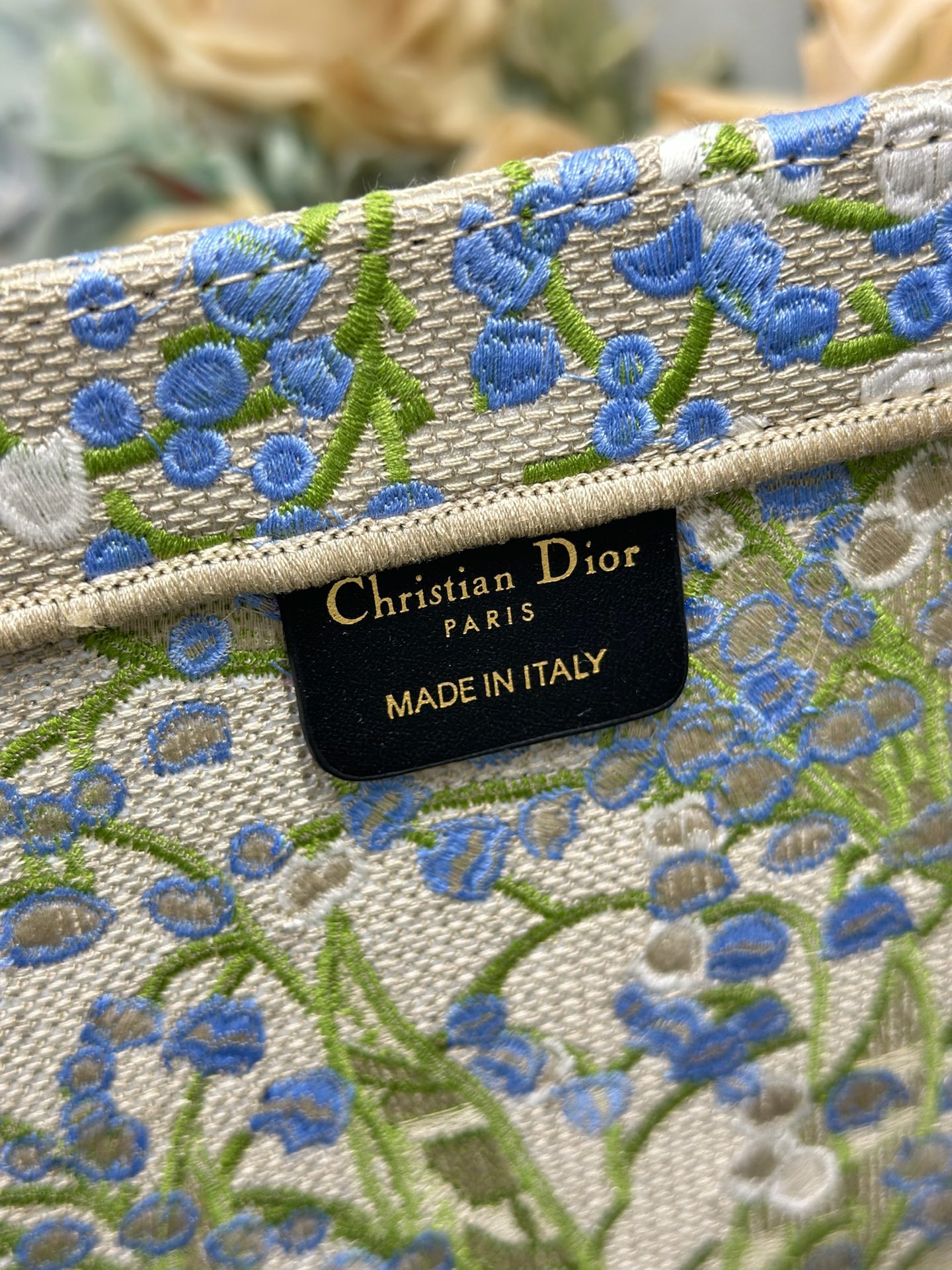 Dior Dior book tote 购物袋