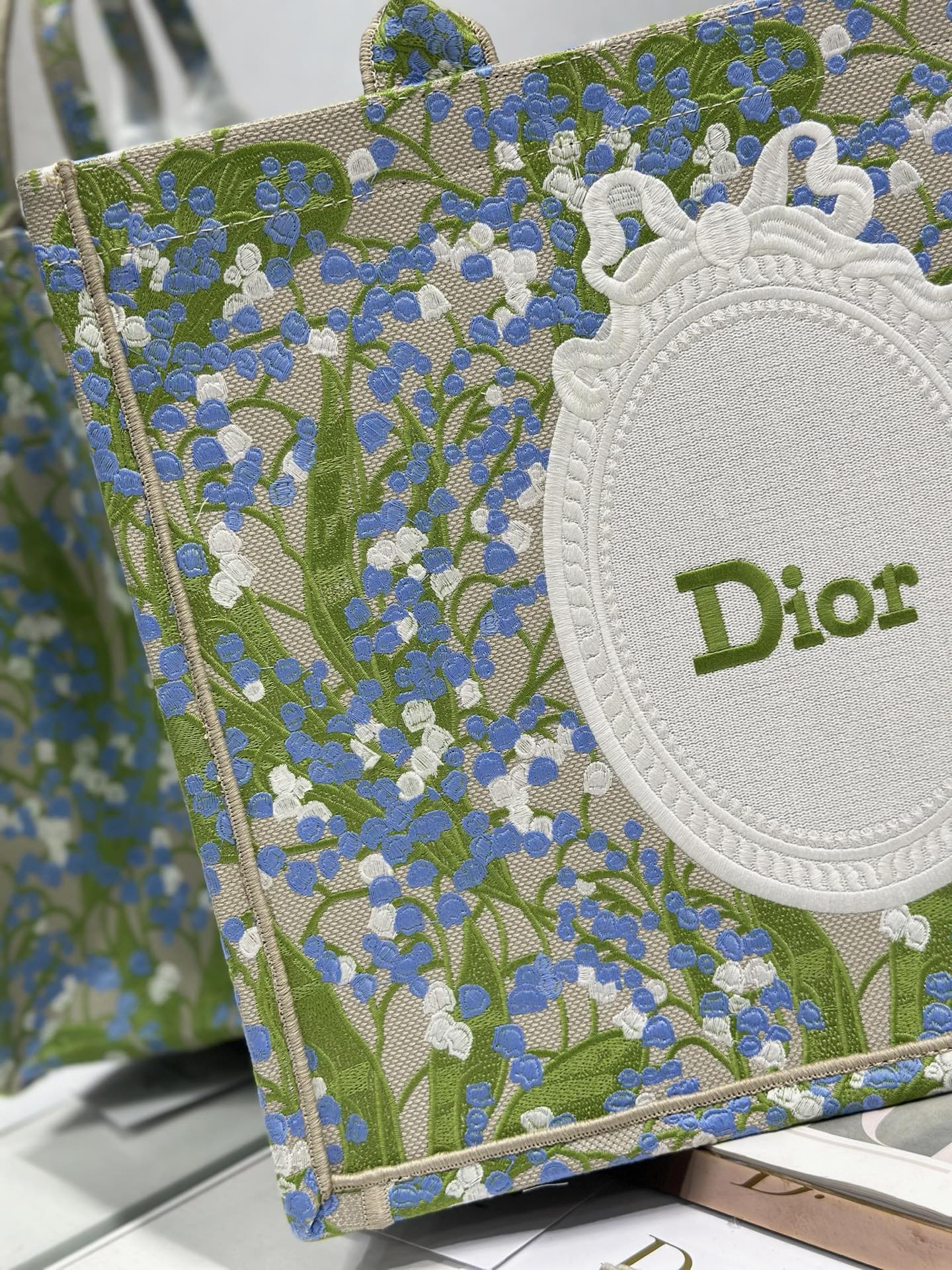 Dior Dior book tote 购物袋