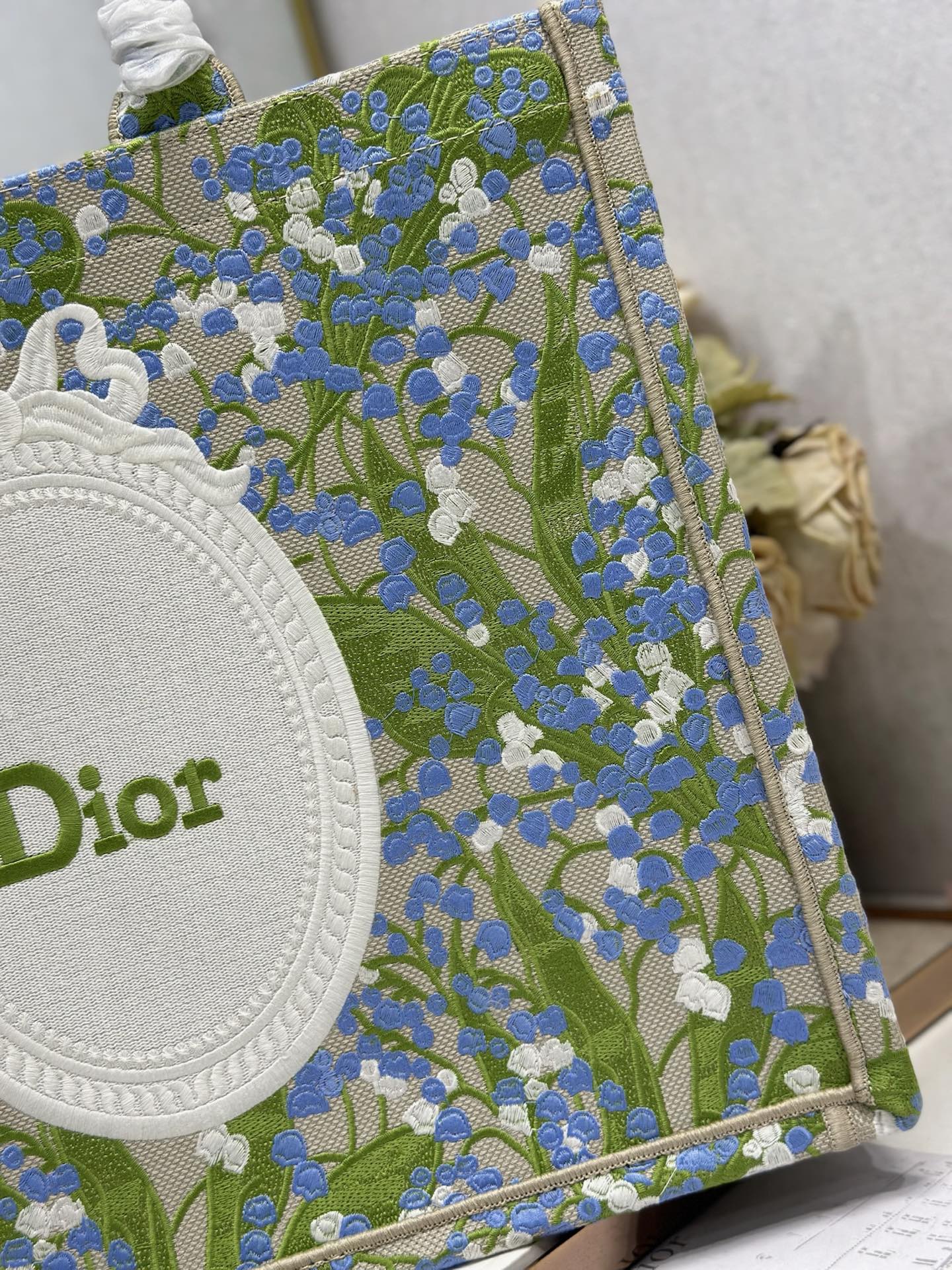 Dior Dior book tote 购物袋