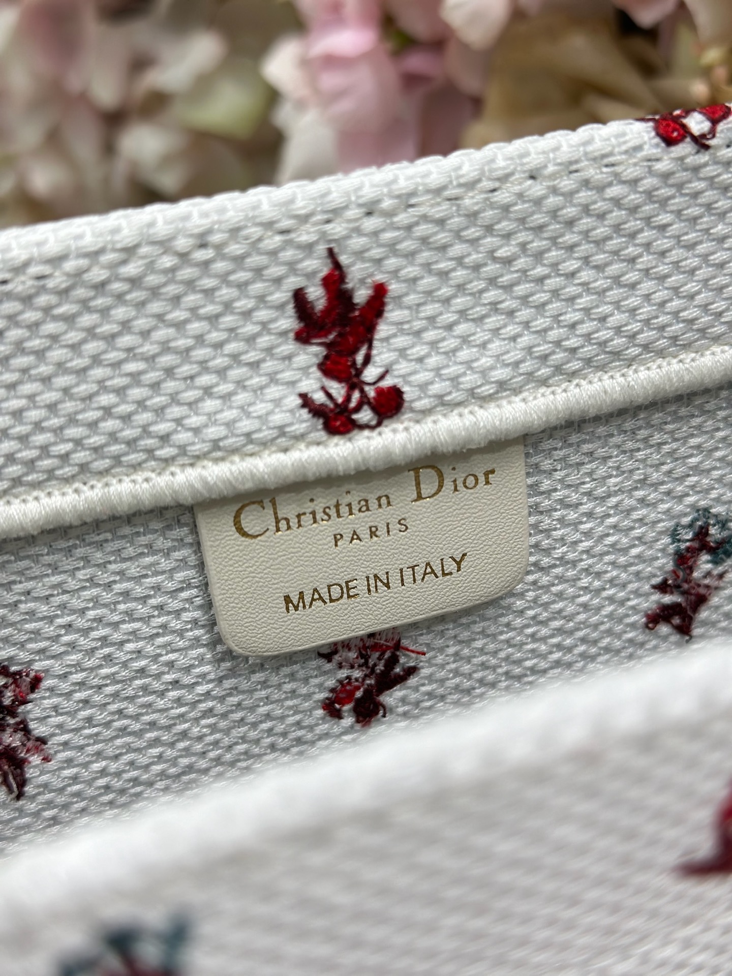 Dior Dio.r Mini Book tote