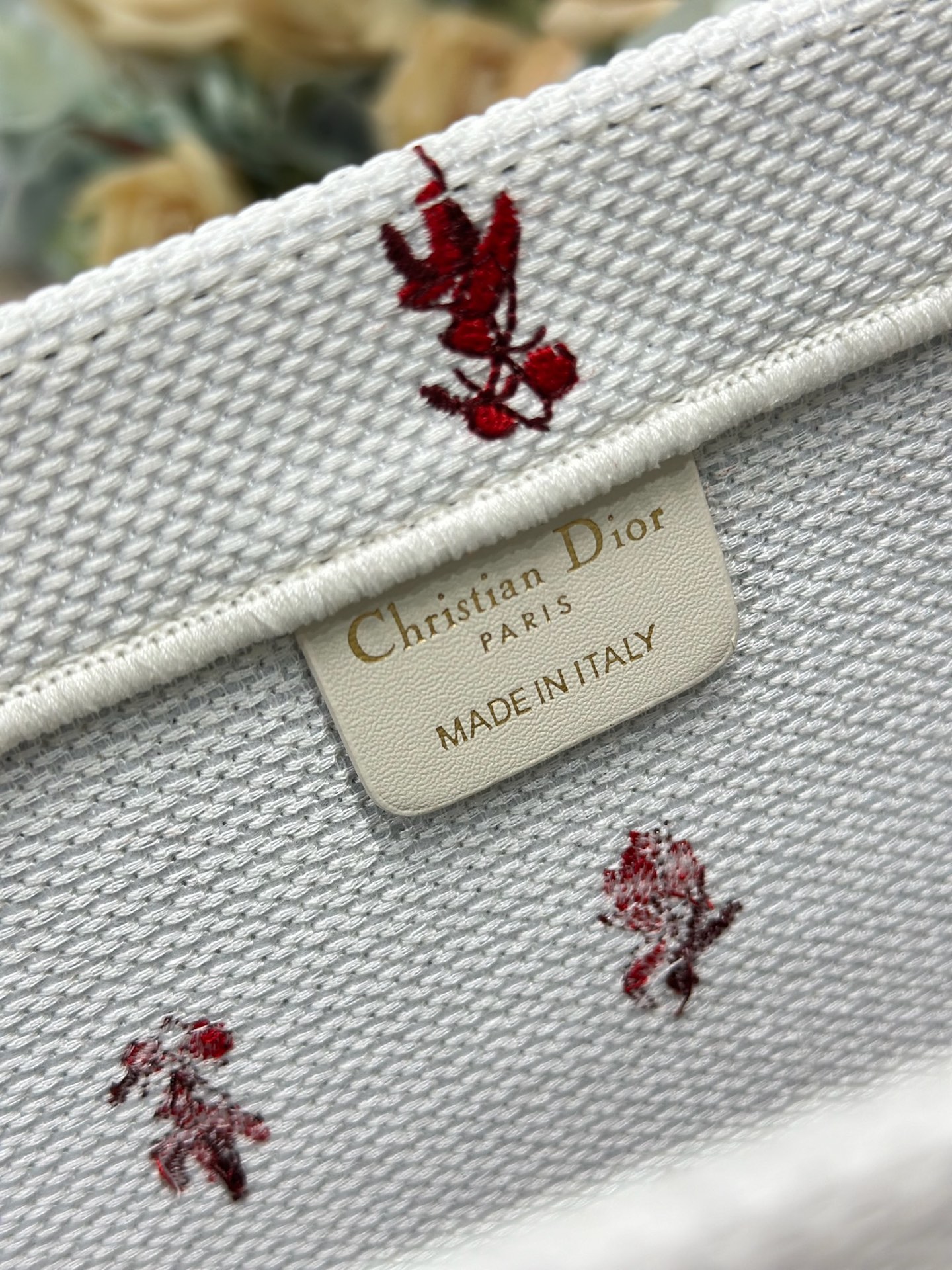 Dior Dior book tote 购物袋