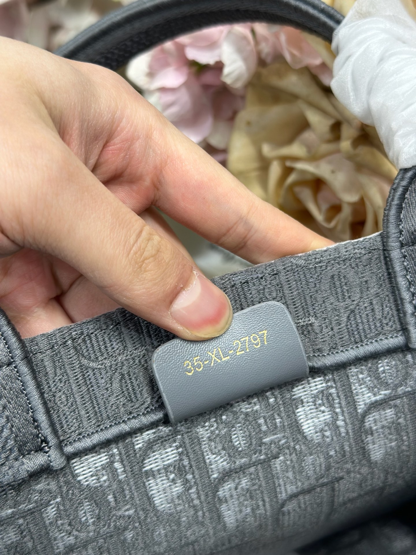 Dior Dio.r Mini Book tote