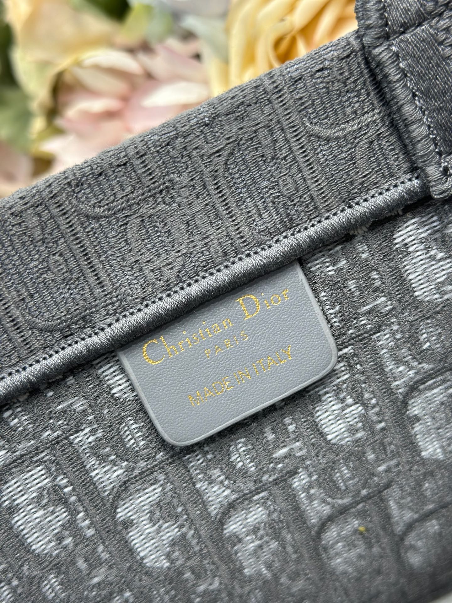 Dior Dior book tote 购物袋