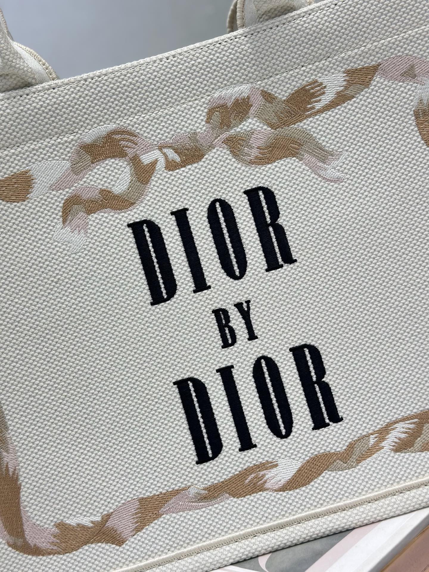 Dior Dior book tote 购物袋