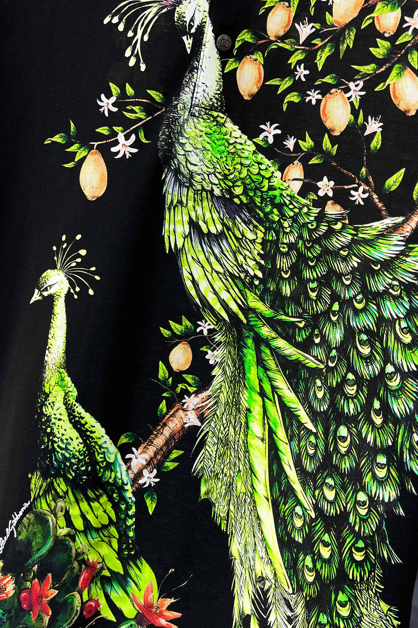 Versace Men's Black Polo Shirt with Peacock and Lemon Print - Casual Fashion 4 i1738640295704 2293 0 3