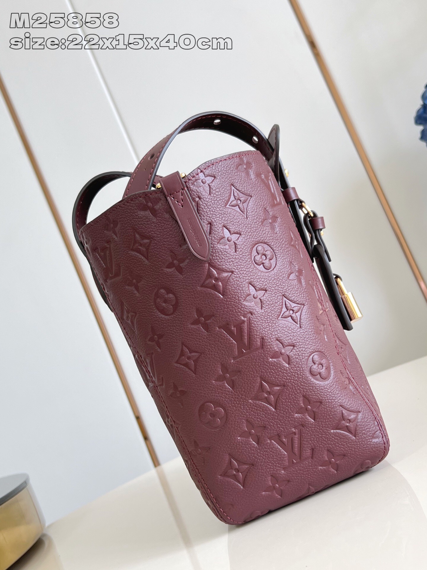 Louis Vuitton All In One Small Hobo Tote Bag Monogram Empreinte Leather 3 i1758821839765 1354 0 2