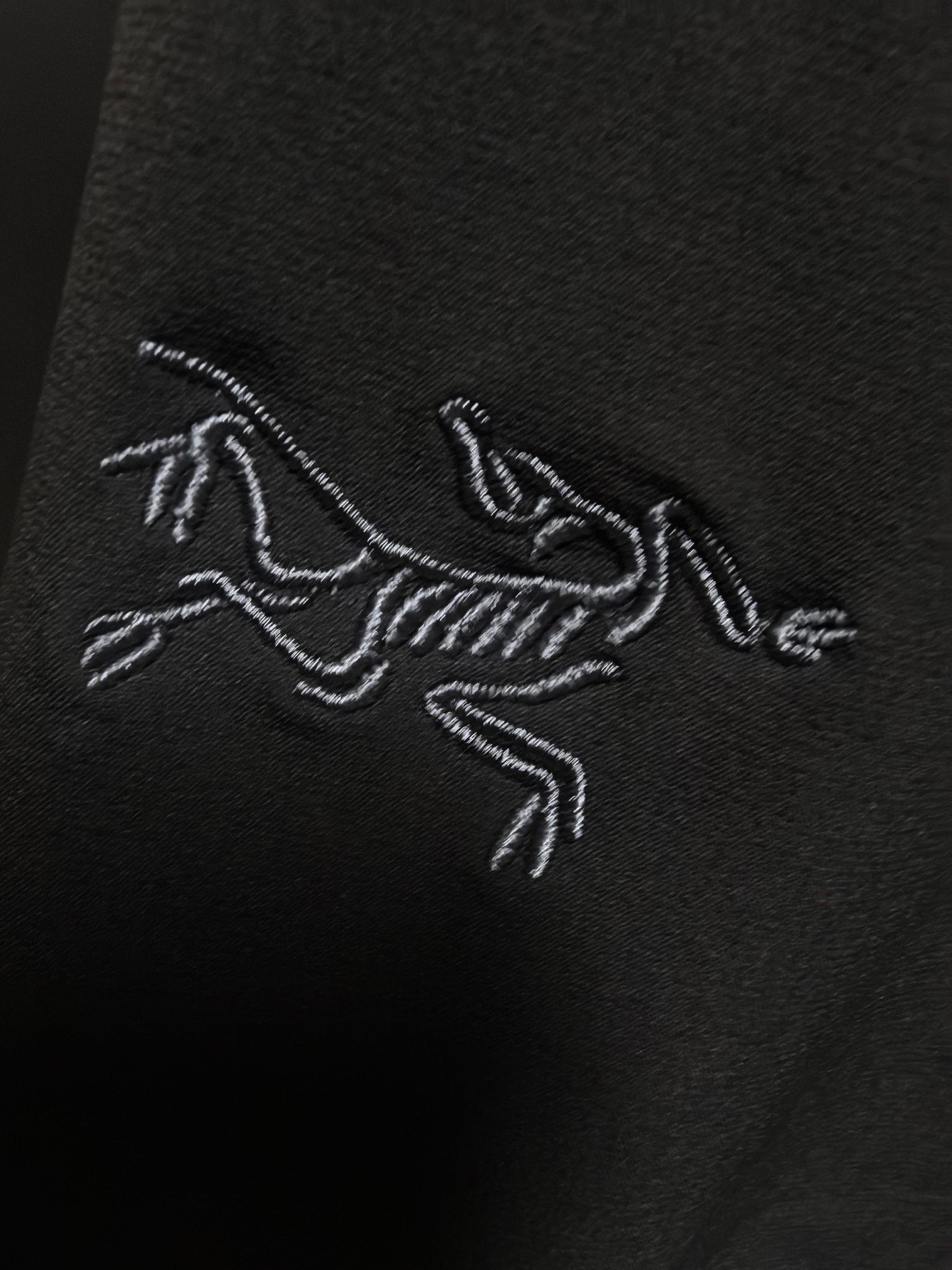 ARC’TERYX Original Gamma AR Multipurpose Pants Review: High Performance in Any Scenario - 图片 6