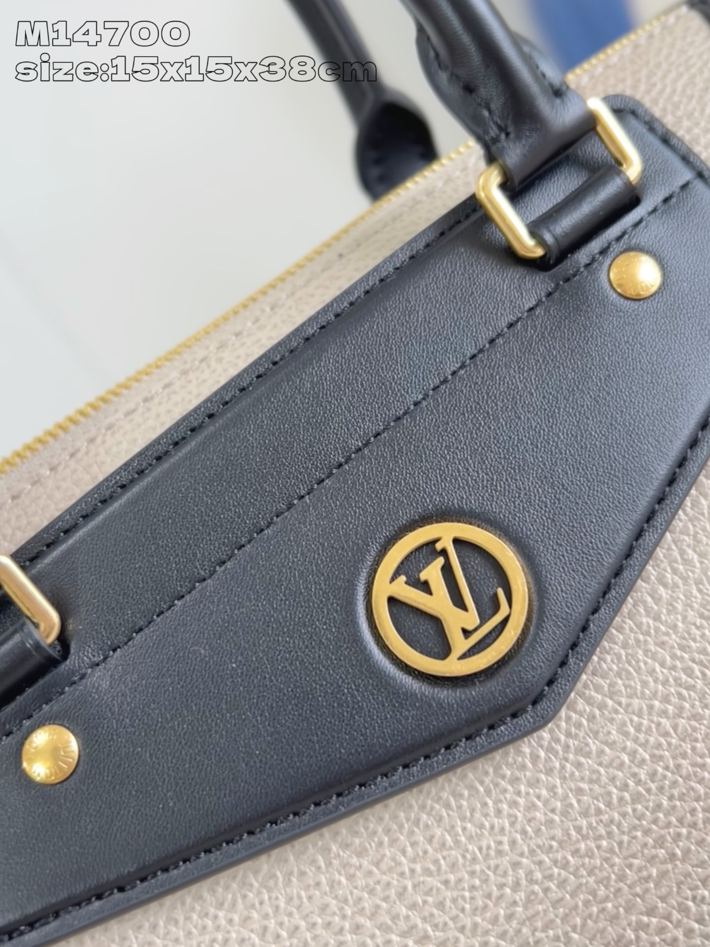 Louis Vuitton Biker Medium Bag in Grey-Brown Leather with Black Trimmings 2 i1744041201 5405 0