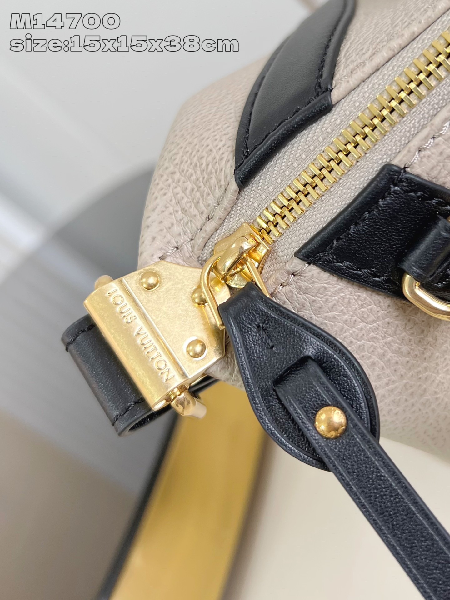Louis Vuitton Biker Medium Bag in Grey-Brown Leather with Black Trimmings 7 i1744041201 9735 3