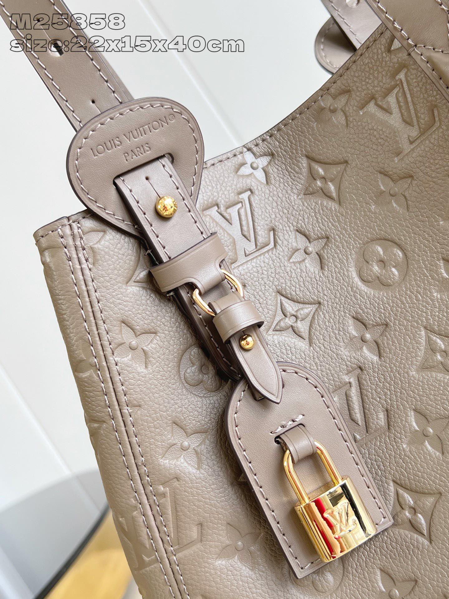 Louis Vuitton All In One Small Hobo Bag Monogram Empreinte Leather M25858 3 i1758183386 3213 2