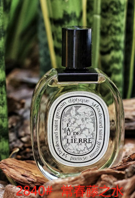Diptyque Eau de Lierre Perfume - 100ml - Aromatic and Refreshing Fragrance