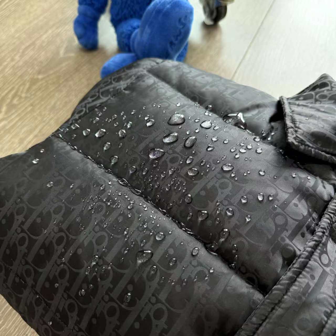 “Dior/Odio Paris Fashion Show: Classic Flowers, Feathers, and Luxury Designs” - 图片 5