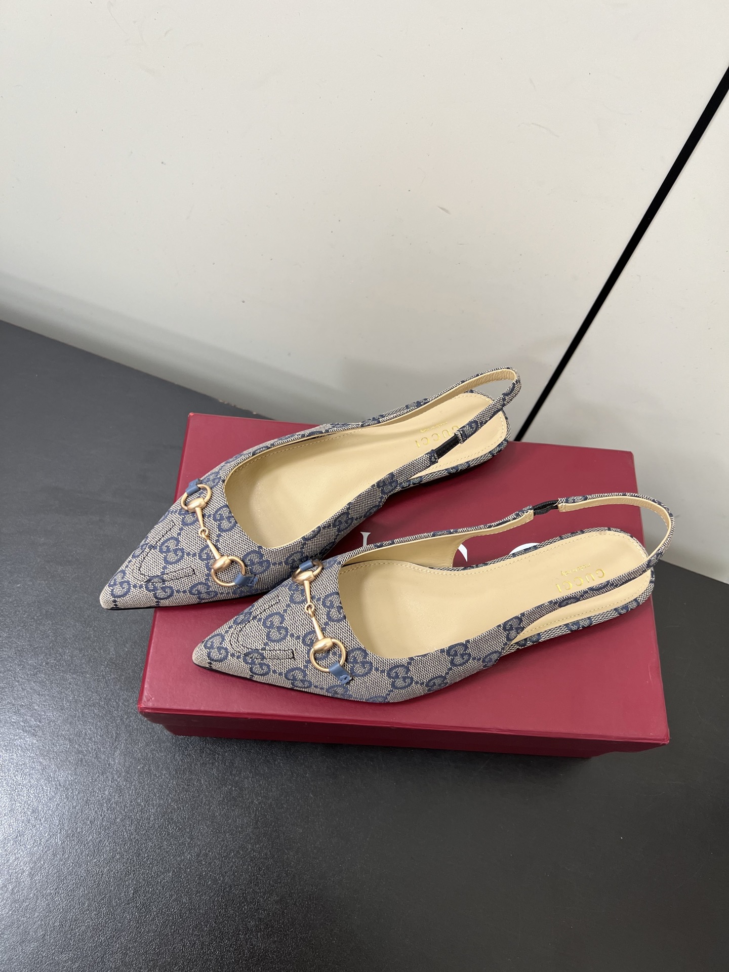 Gucci Women Shoes