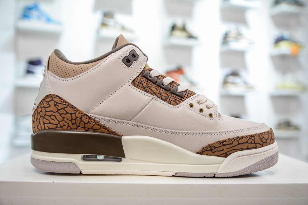 Air Jordan 3 Retro ”Orewood Brown” 白棕 CT8532-102