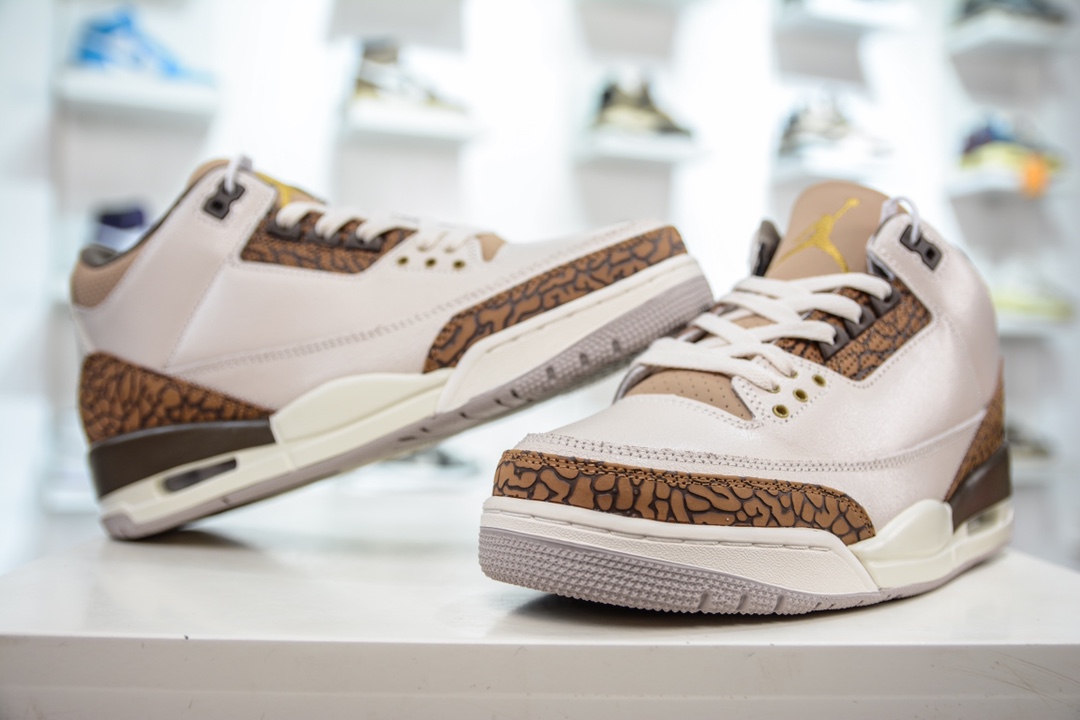 Air Jordan 3 Retro ”Orewood Brown” 白棕 CT8532-102