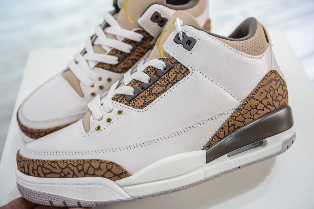 Air Jordan 3 Retro ”Orewood Brown” 白棕 CT8532-102