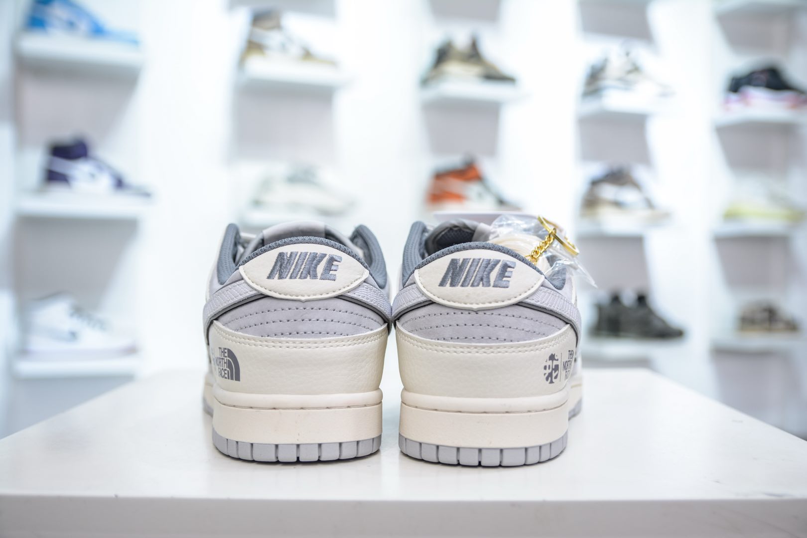 The North Face x Nike Dunk Low 北面联名-米灰灰勾   DM6868-007