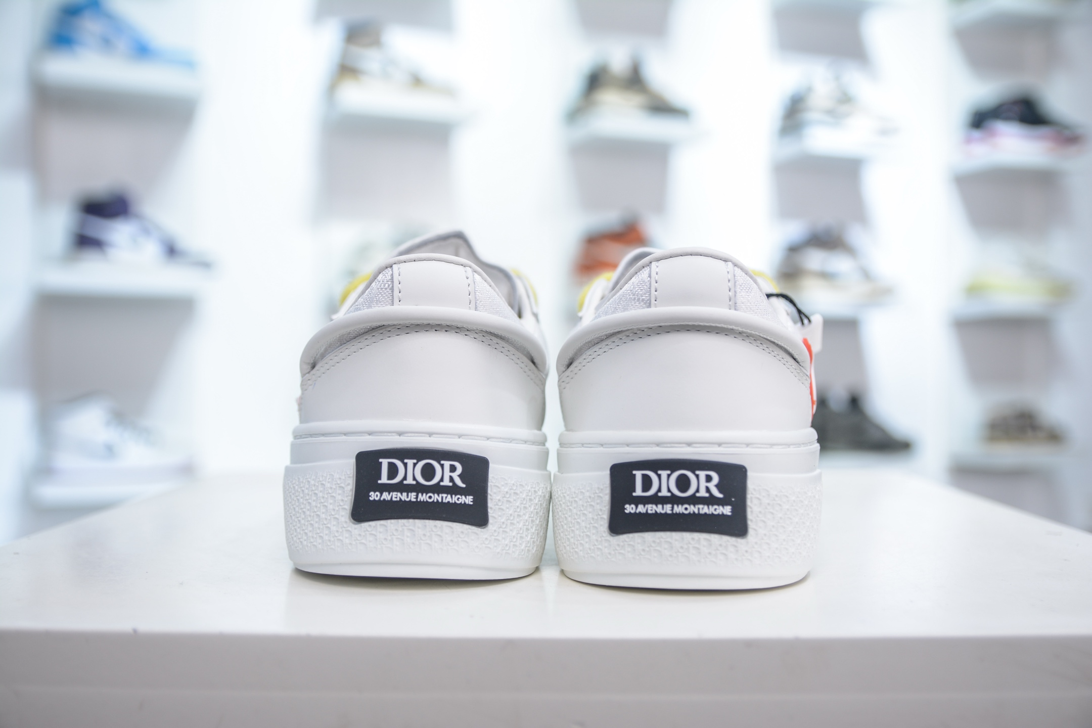 迪奥Dior B33系列 最新蛇年限定 情侣款 休闲 运动鞋 滑板鞋