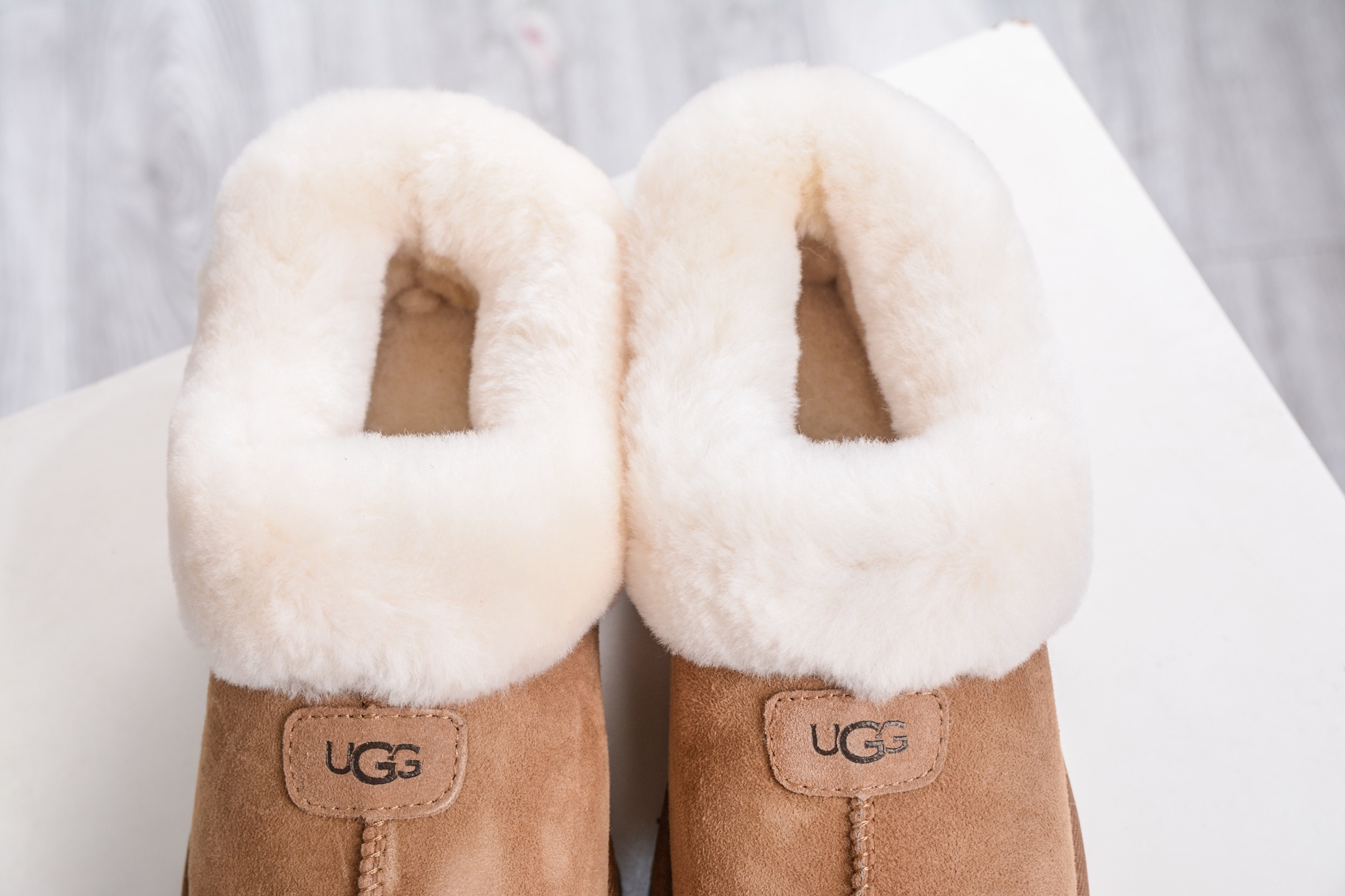 240 UGG 塔次特 3CM厚底 栗色 羊皮毛一体高品质 保暖锁热 1134810-CHE