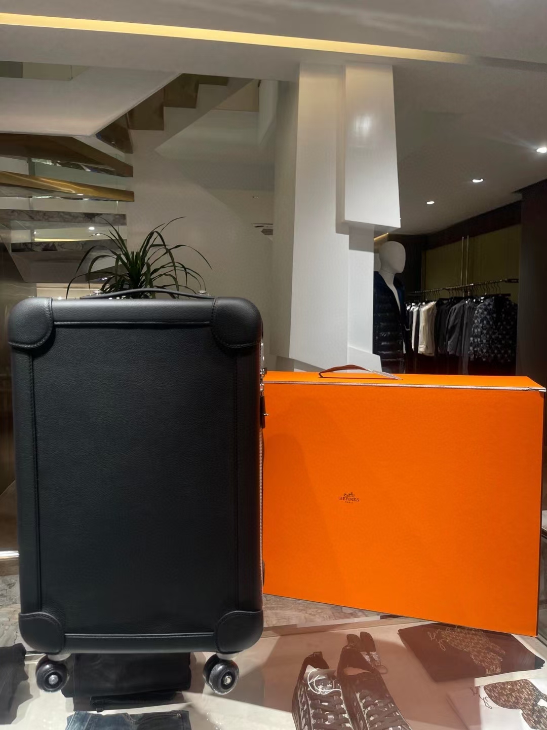 A horse’s suitcase or a safe? How much money do you need to buy a suitcase? Zenium