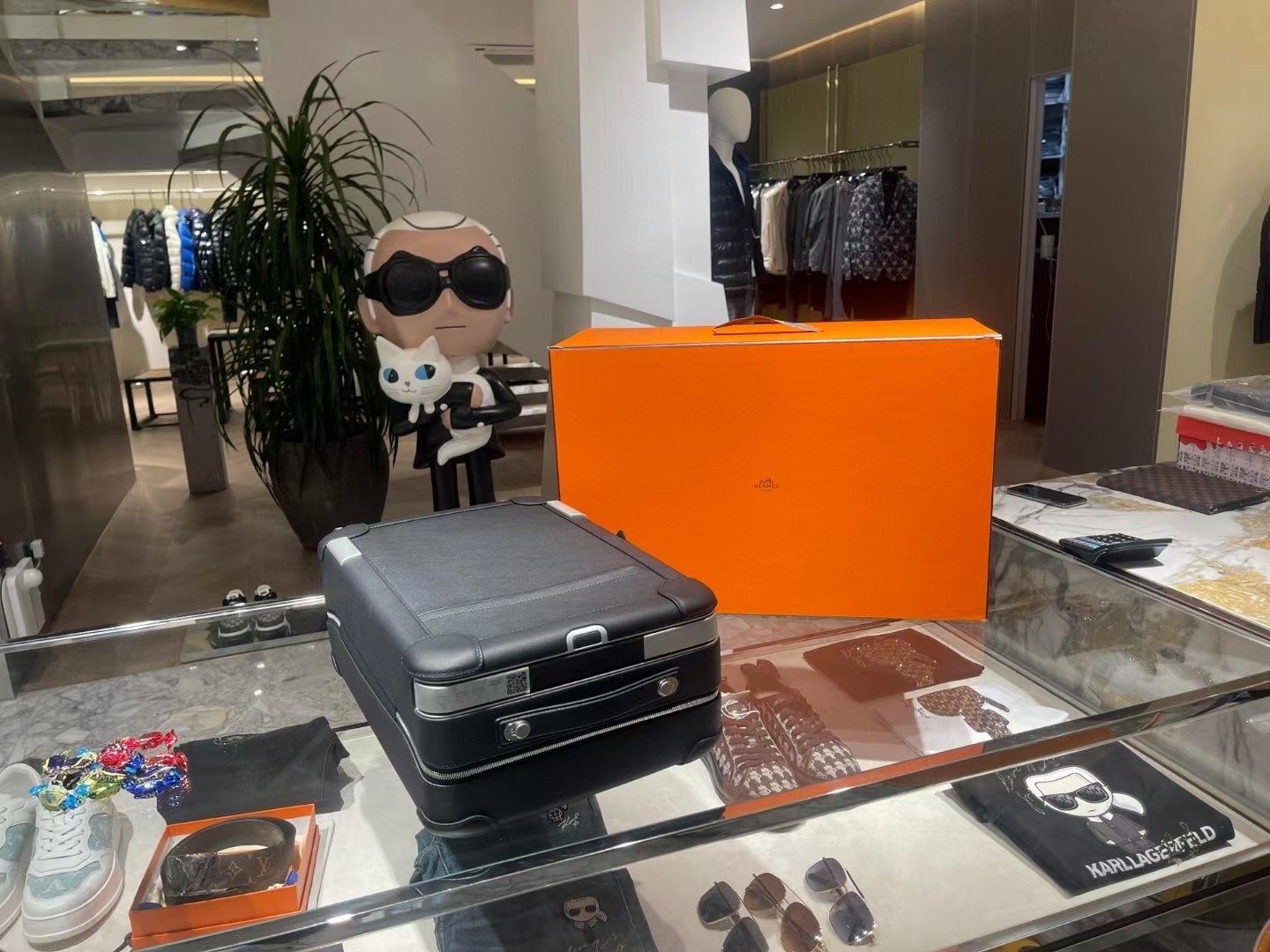 A horse’s suitcase or a safe? How much money do you need to buy a suitcase? Zenium - 图片 4