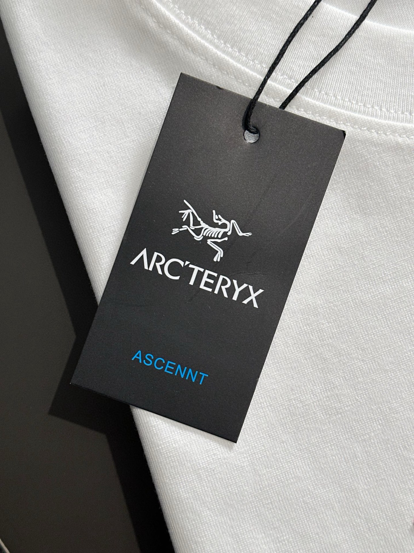  ARC 2025SS春夏最新款圆领时尚短袖T恤，官网同步，专柜纯棉面料！贴肤舒适，耐看又好穿，经典简约