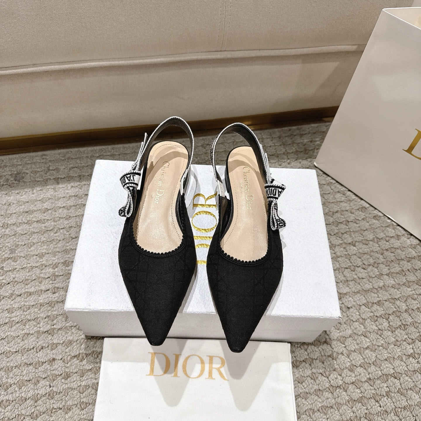 Luxury DioJ’Adior Leather Shoes: Italian Craftsmanship, Elegant Design, Sheep Leather Lining, Various Heights – Product Details