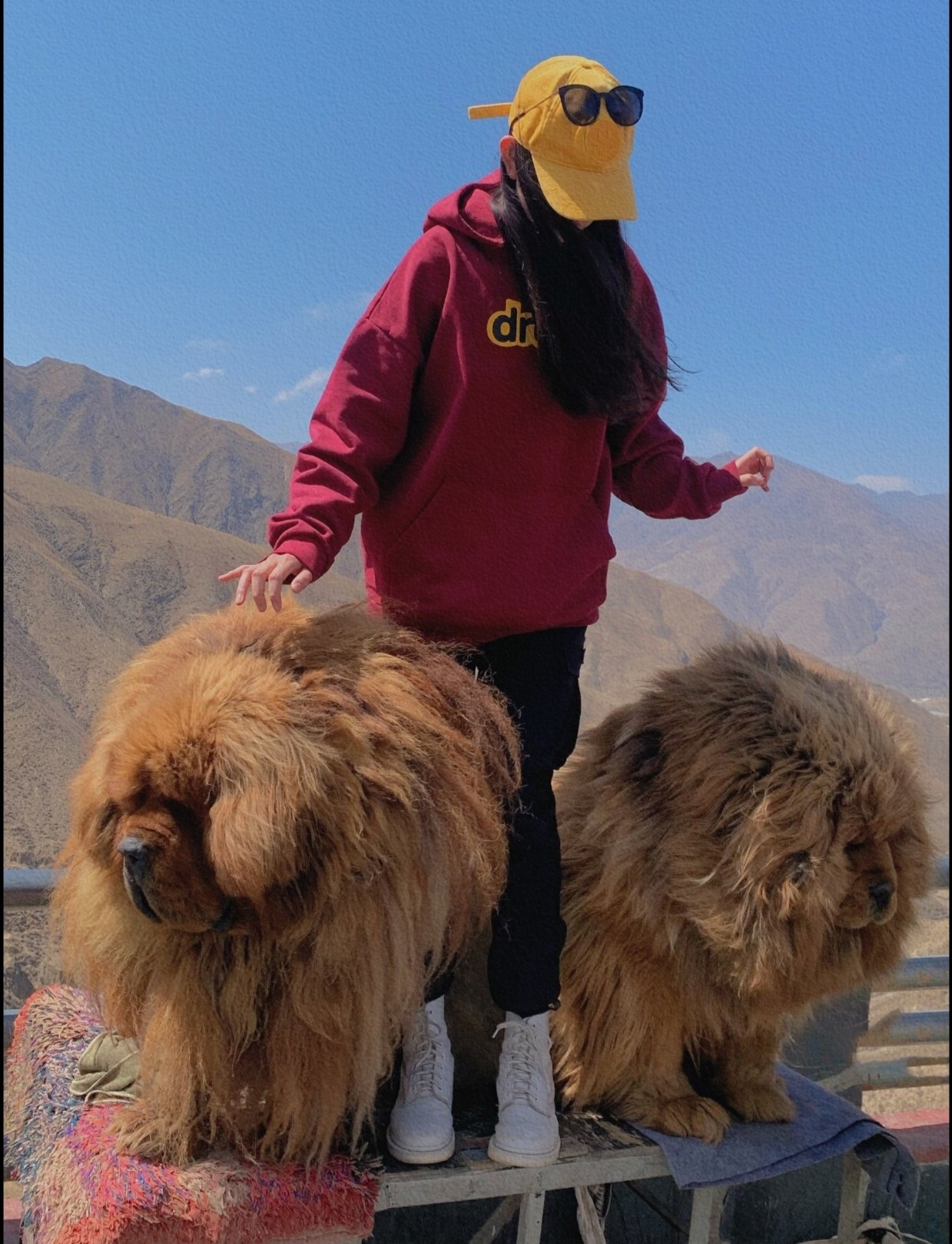 Fashionable Velvet Hats with Customized Details and Imported Prints in Wine Red Color - 图片 4