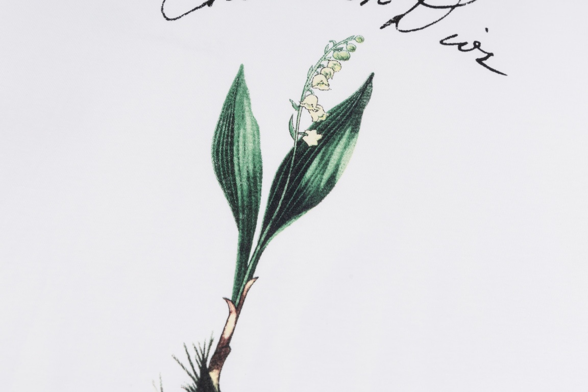 Dior DIOR迪奥 2024ss草写字母铃兰花植绒印花短袖T恤