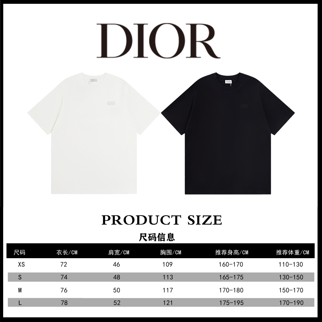 Dior DIOR迪奥 24新款胸前logo棉质刺绣短袖T恤