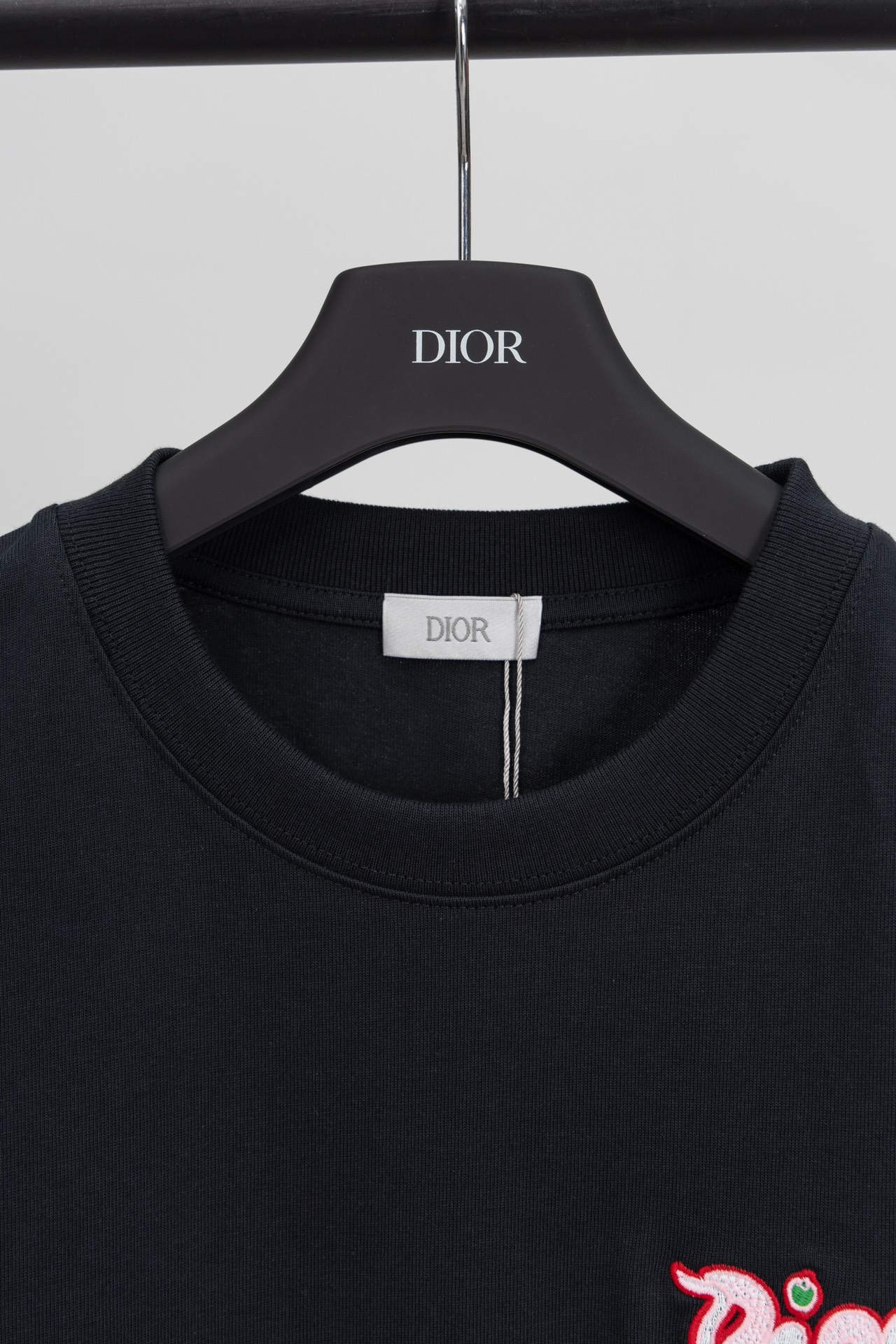 Dior DIOR 蛇年联名 苹果蛇刺绣短袖T恤