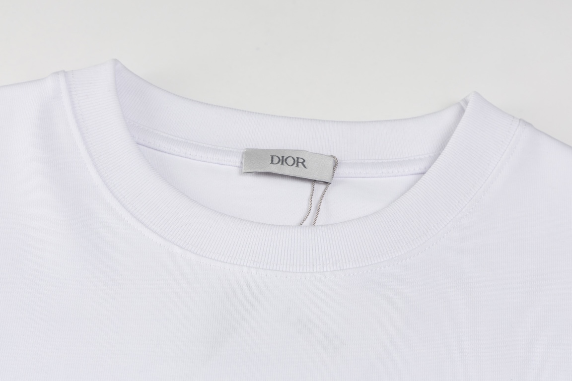 Dior DIOR 蛇年联名 苹果蛇刺绣短袖T恤