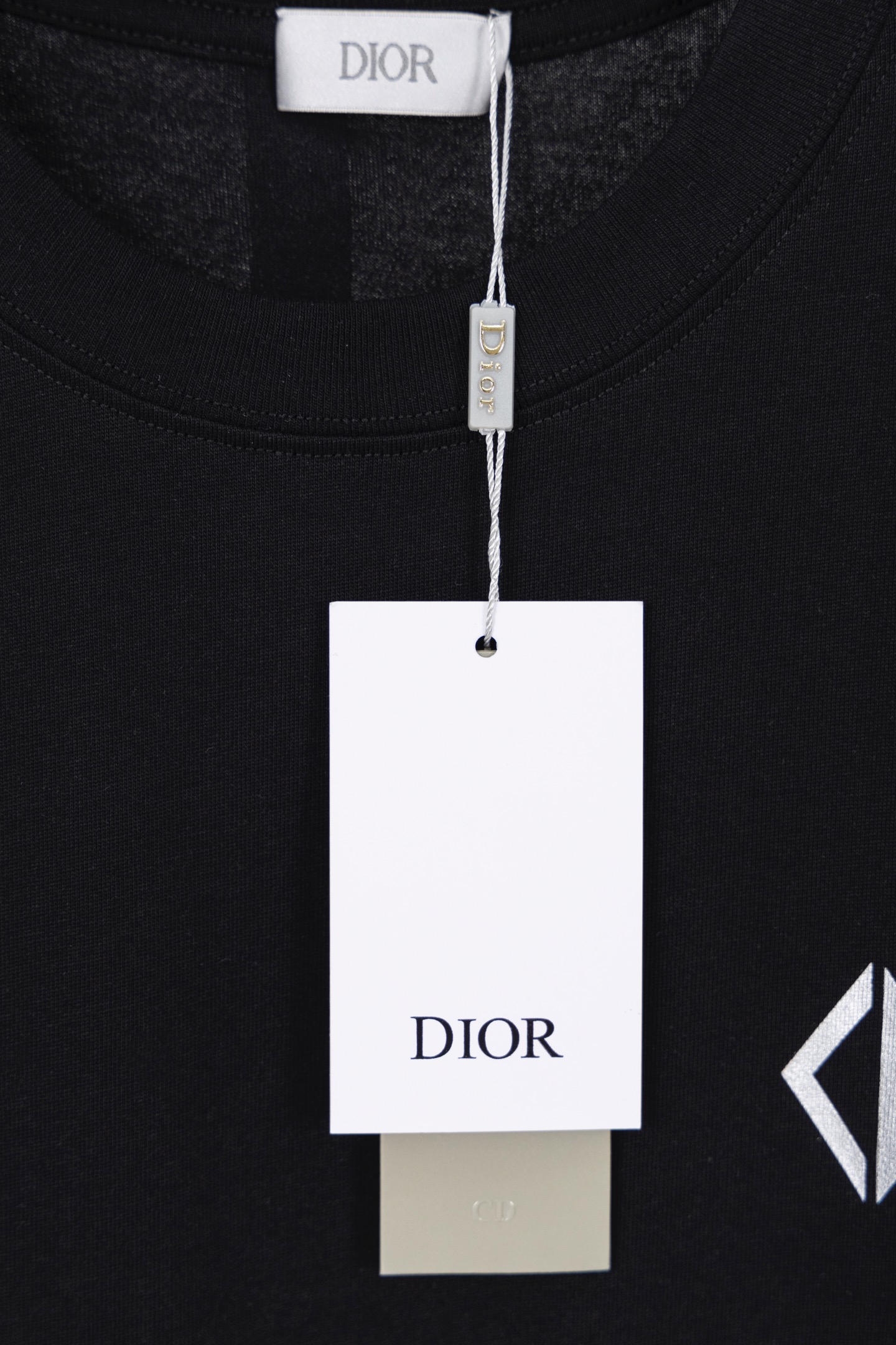 DIOR 2025秋季男装系列 短袖T恤服装,包,男,dior 8