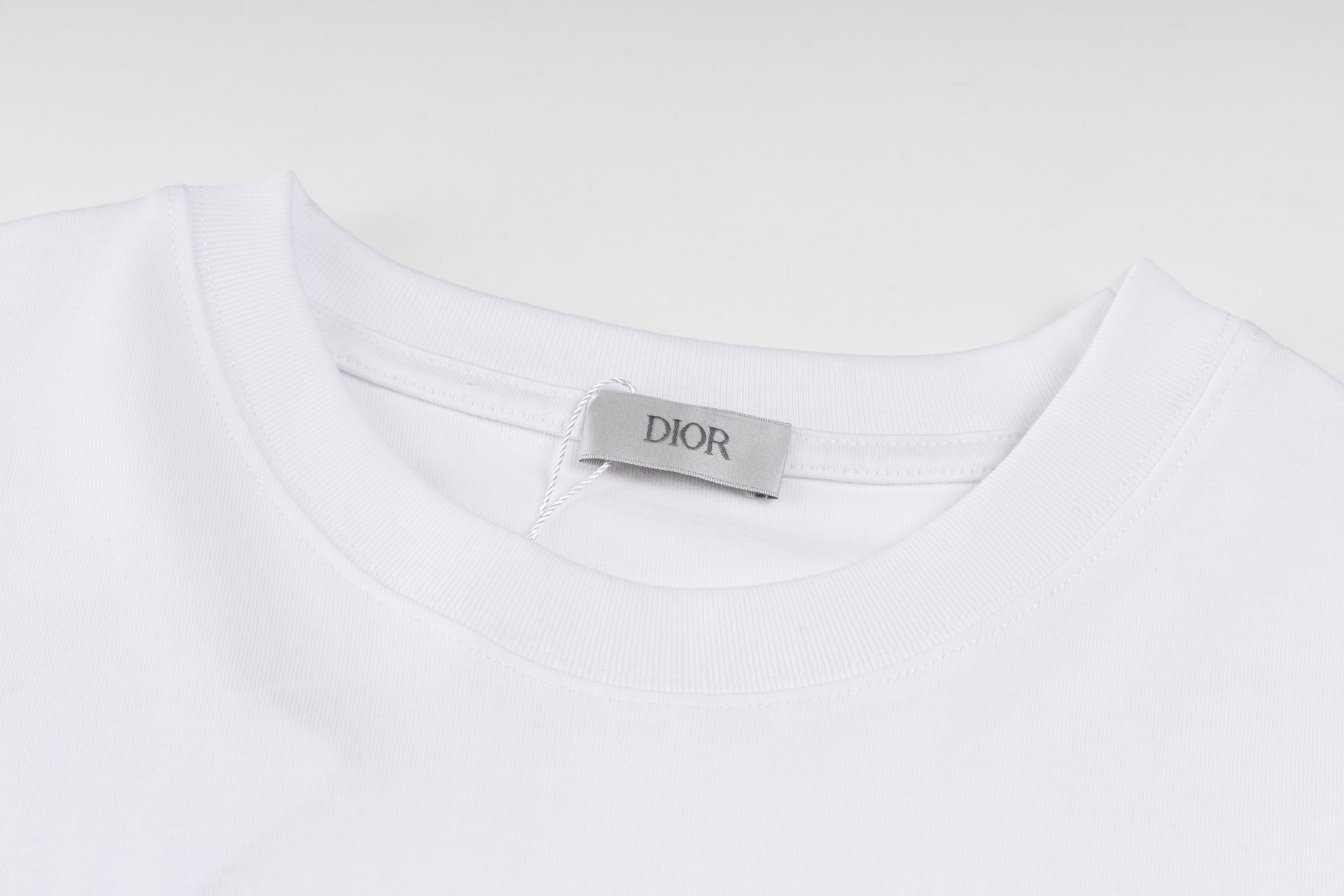 Dior DIOR迪奥 汉密尔顿 联名系列last短袖 T恤
