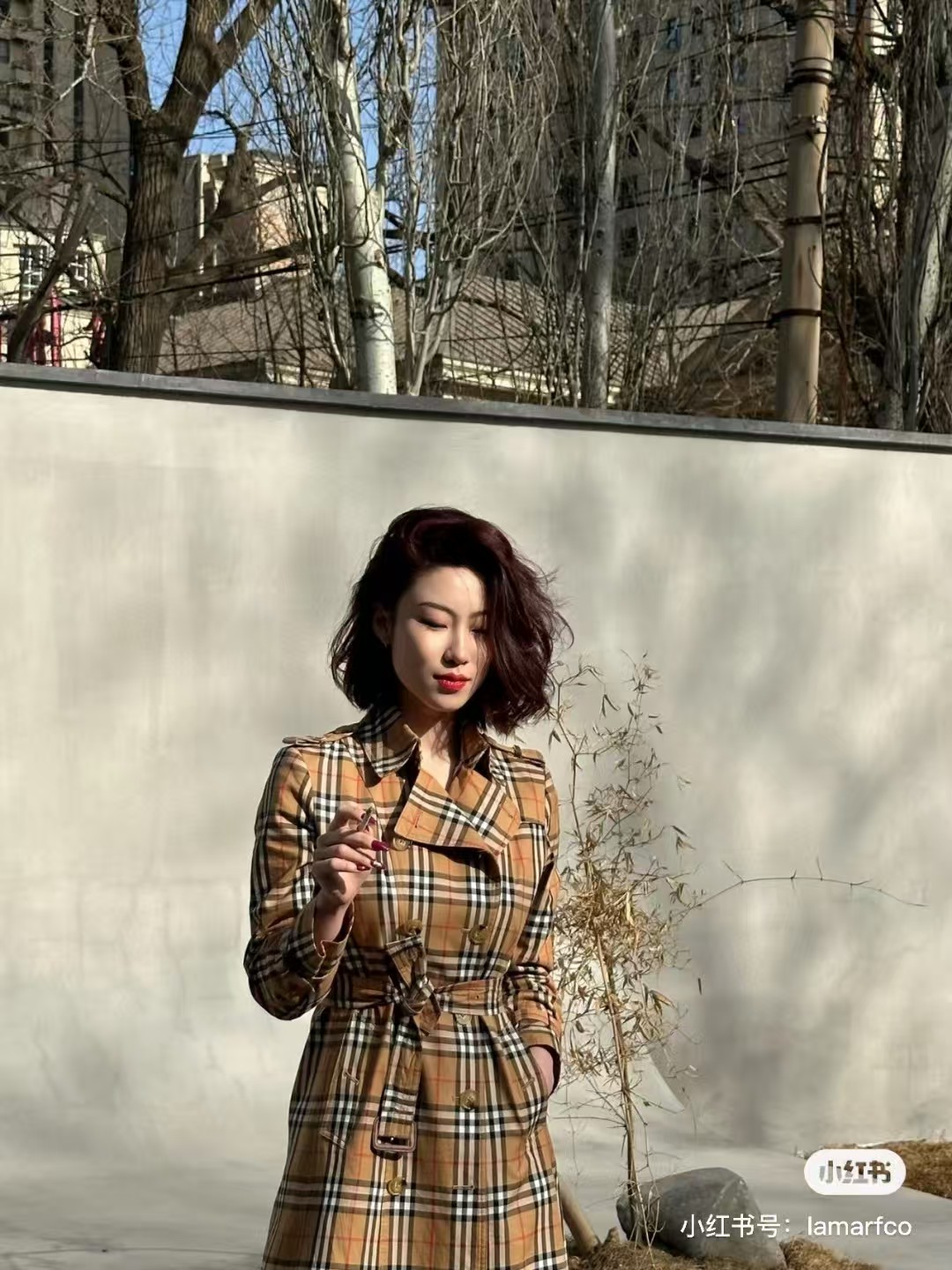 NO:501314,upper body picture, alexander wang19860909上身图,,alexander wang,Women's clothing