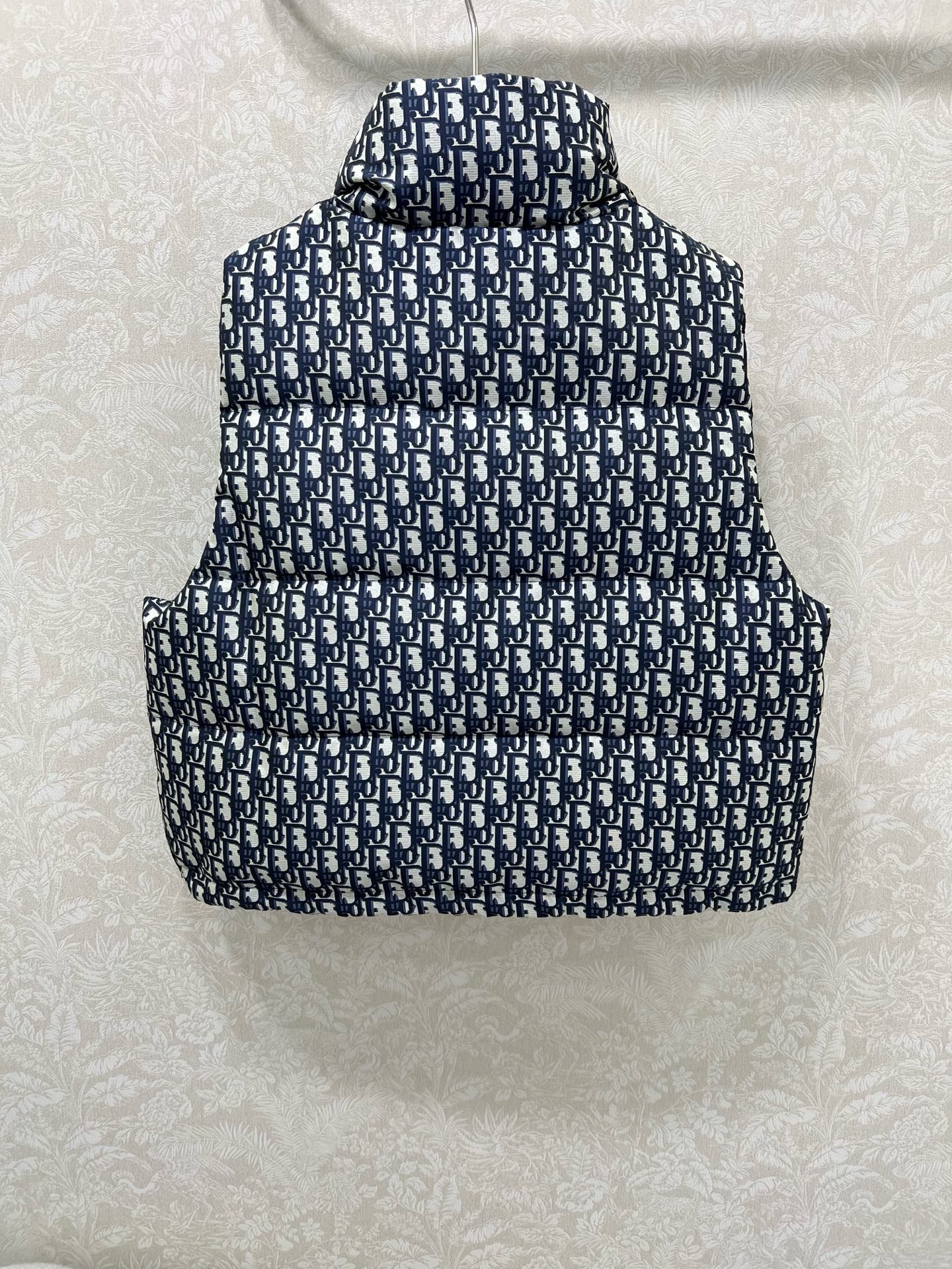 🔥🔥DIO*25新款立领羽绒马甲 90白鸭绒 帽子可拆卸 满幅字母印花以及经典丛林动物印花羽绒马甲 打造