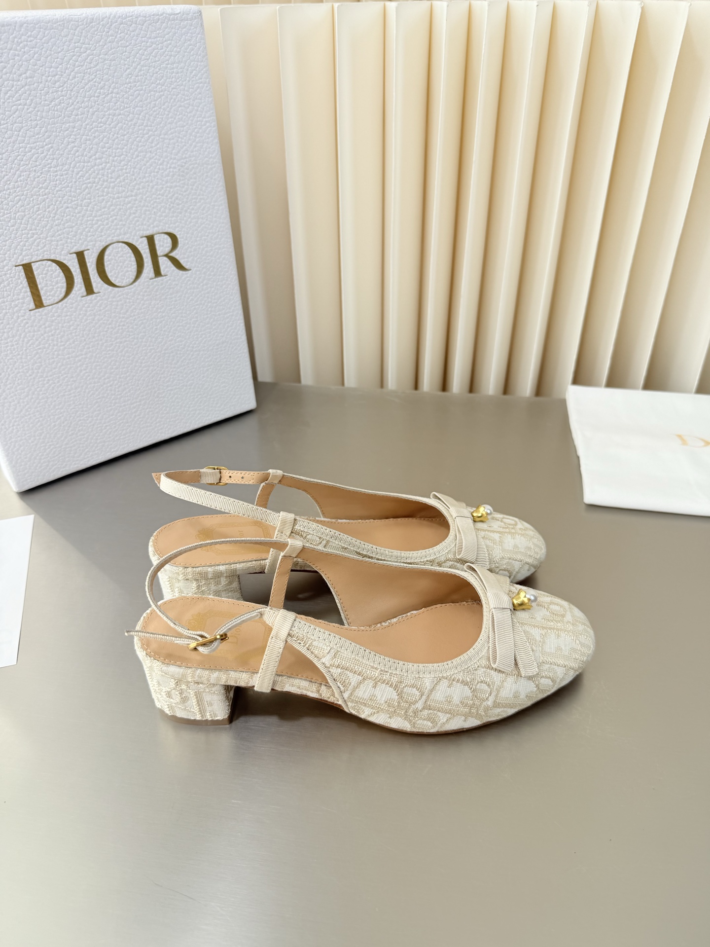 Dior Mary Jane Shoes