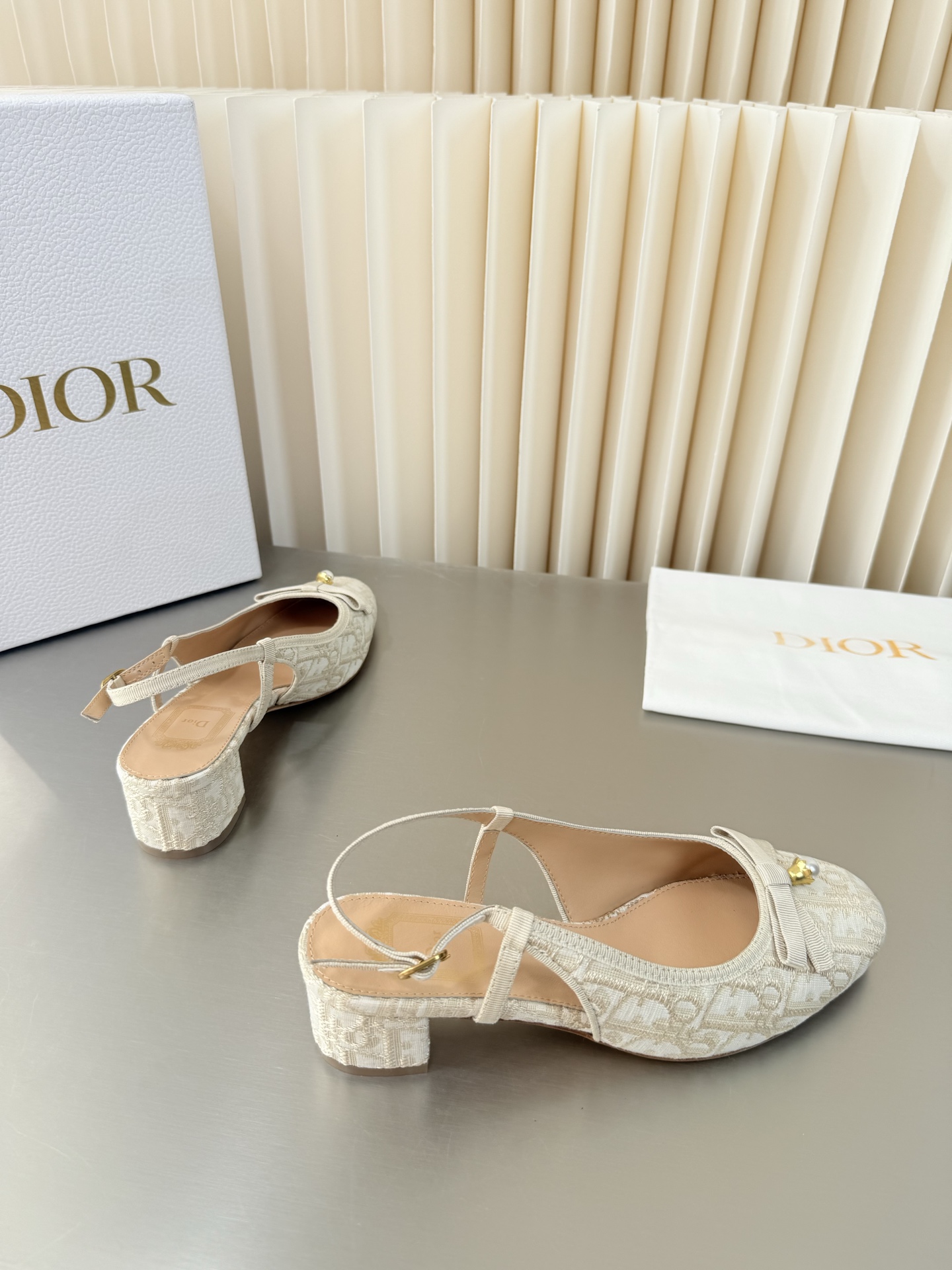 Dior Mary Jane Shoes