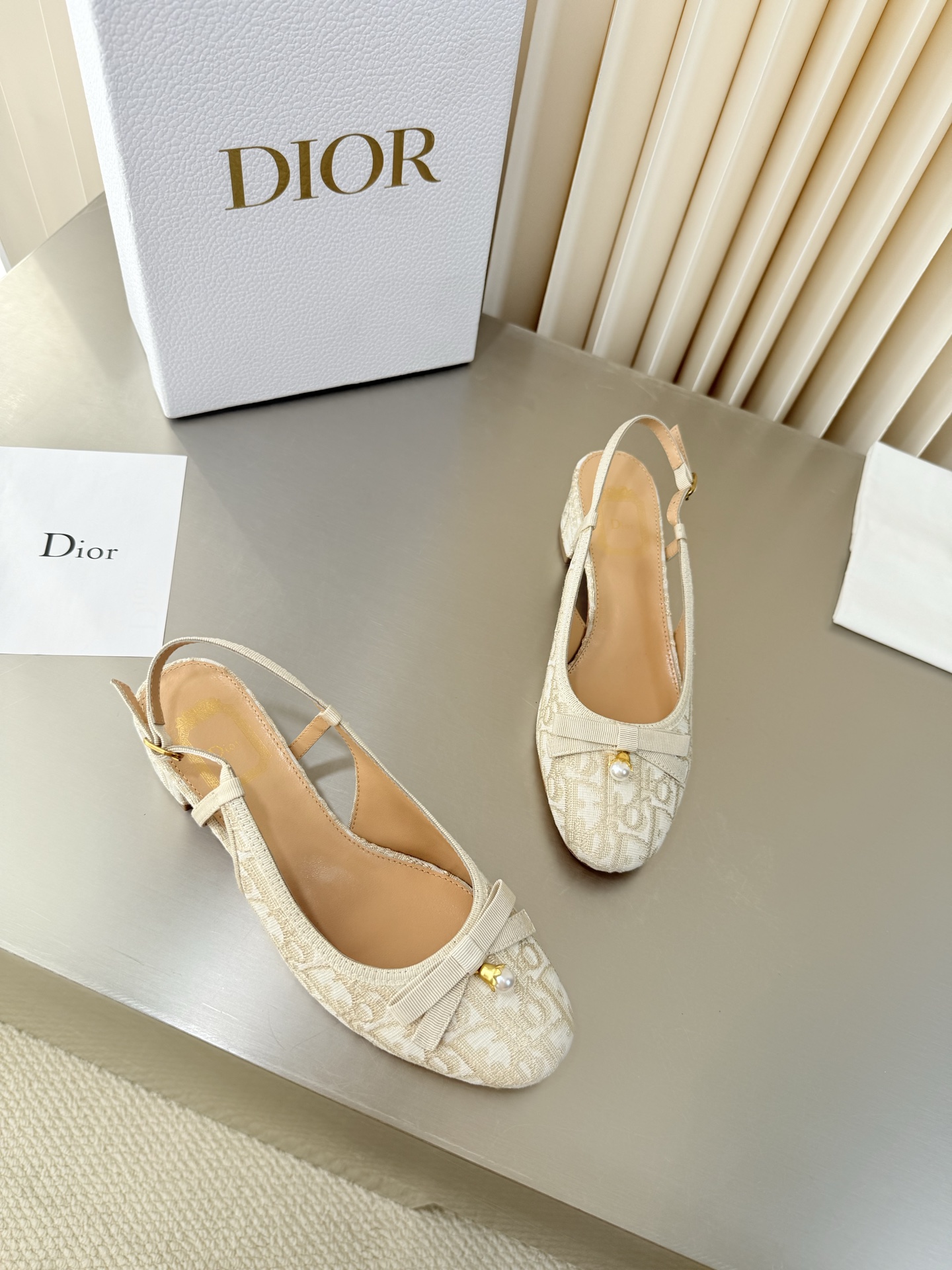 Dior Mary Jane Shoes
