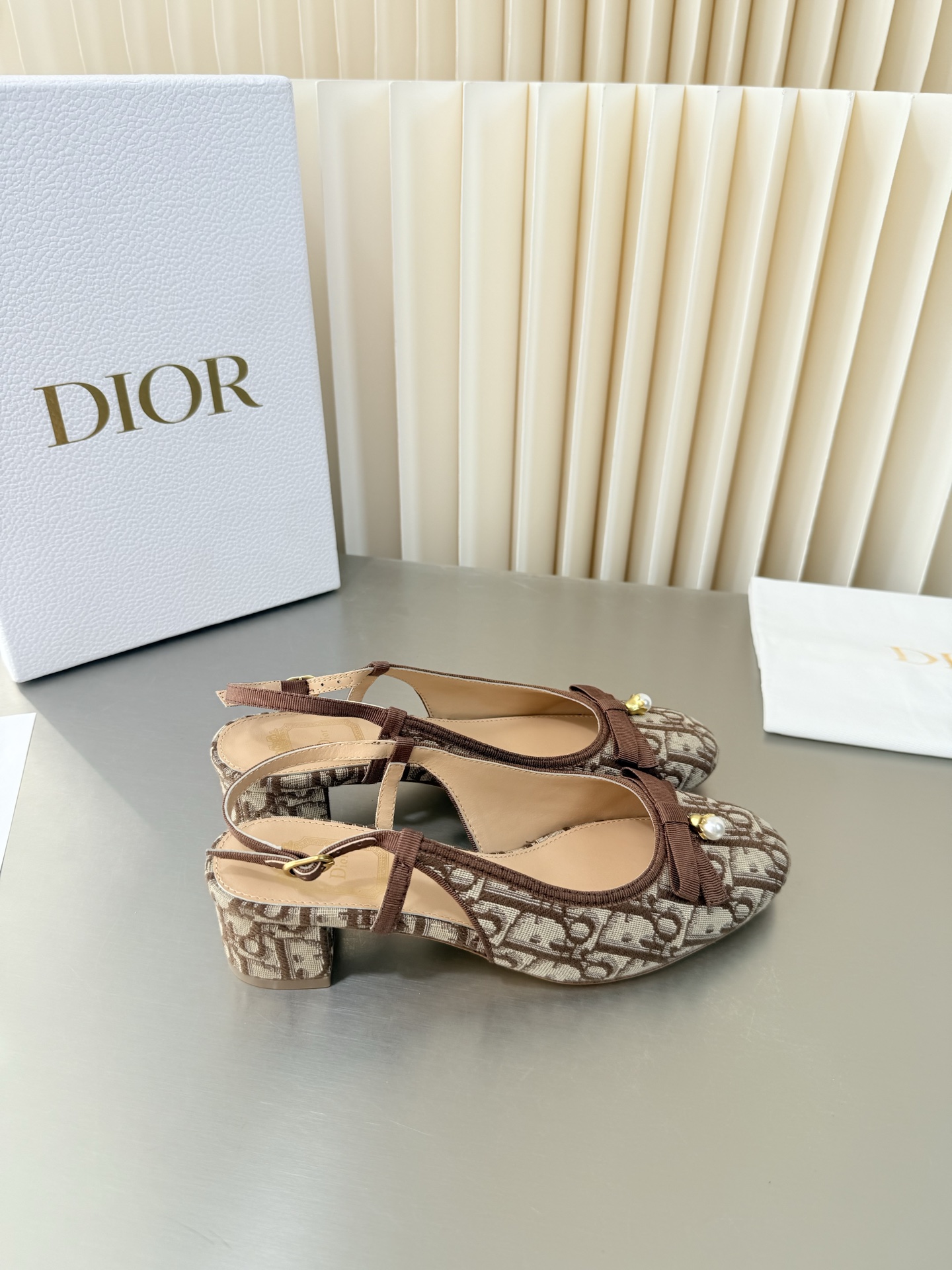 Dior Mary Jane Shoes