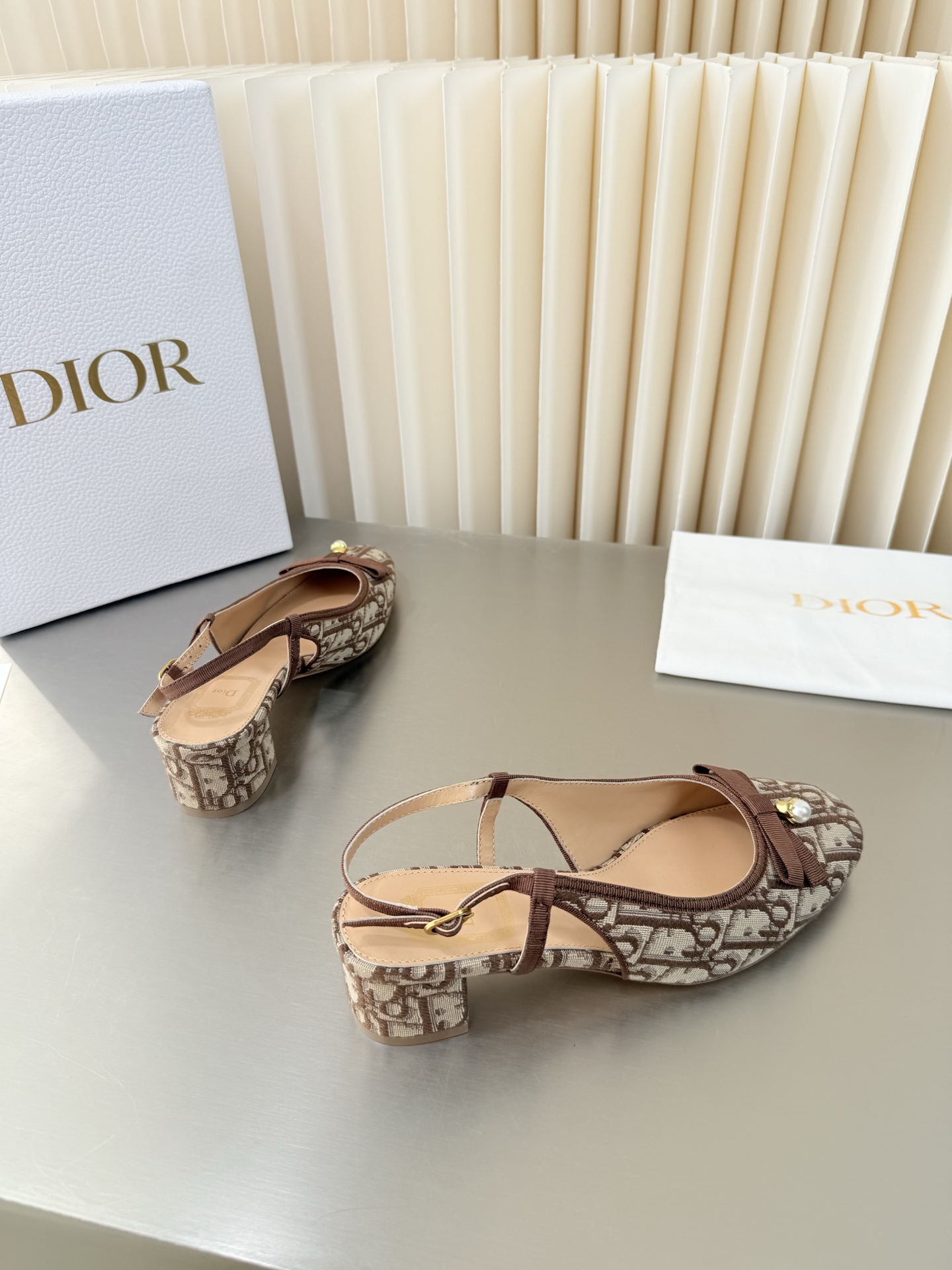 Dior Mary Jane Shoes